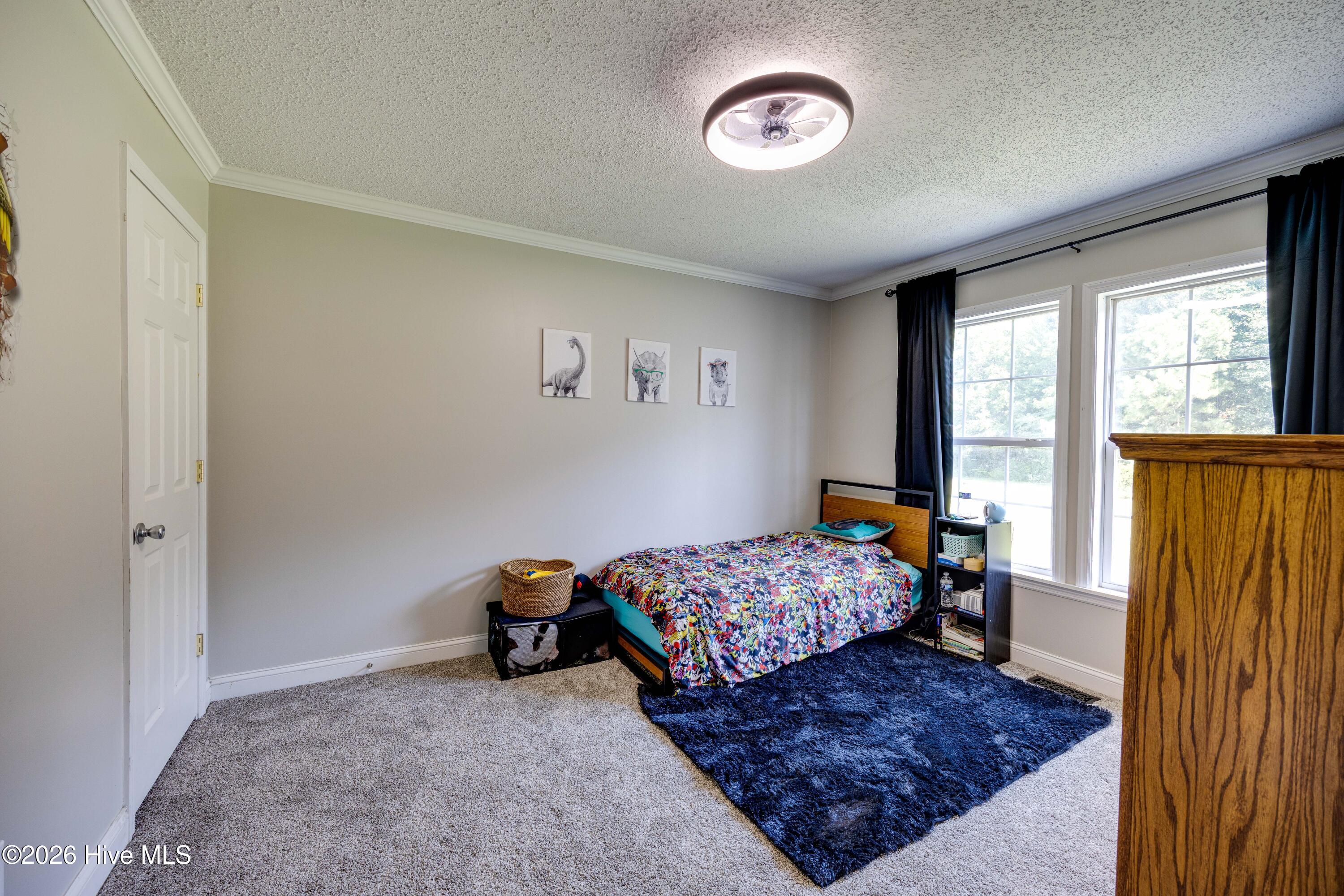 294 Godley Road Property Photo 31