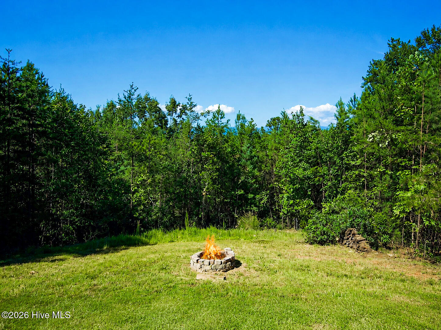 20 Locust Pointe Trail Property Photo 43
