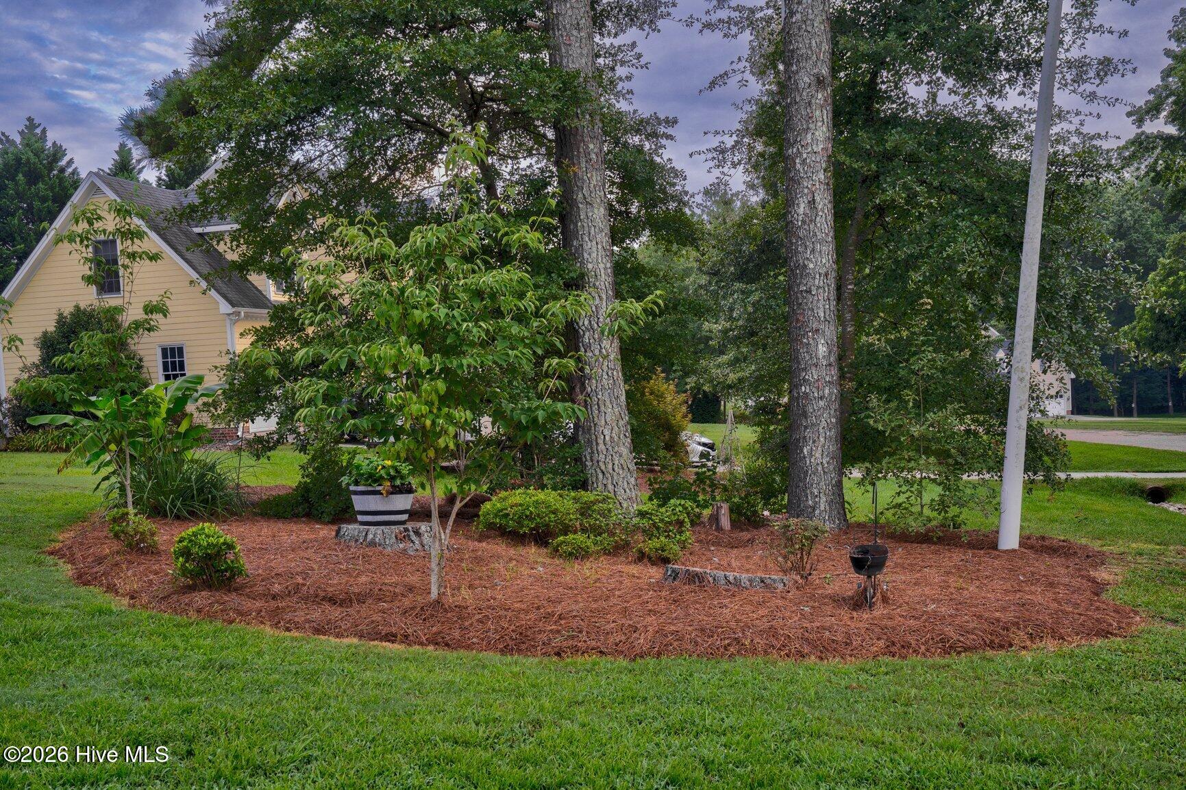 1101 Tyler Farms Drive Property Photo 4
