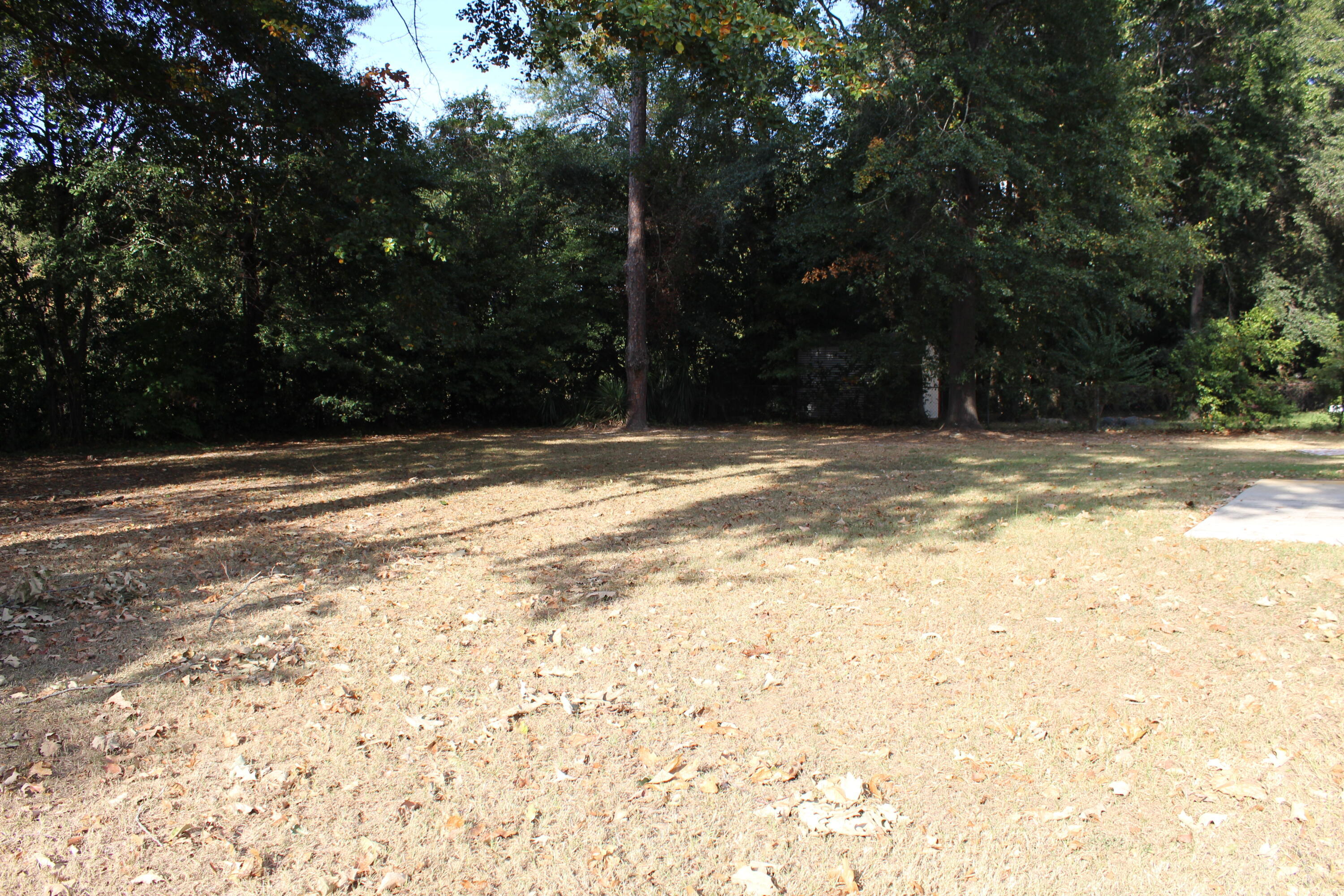 1015 Country Place Drive Property Photo 49