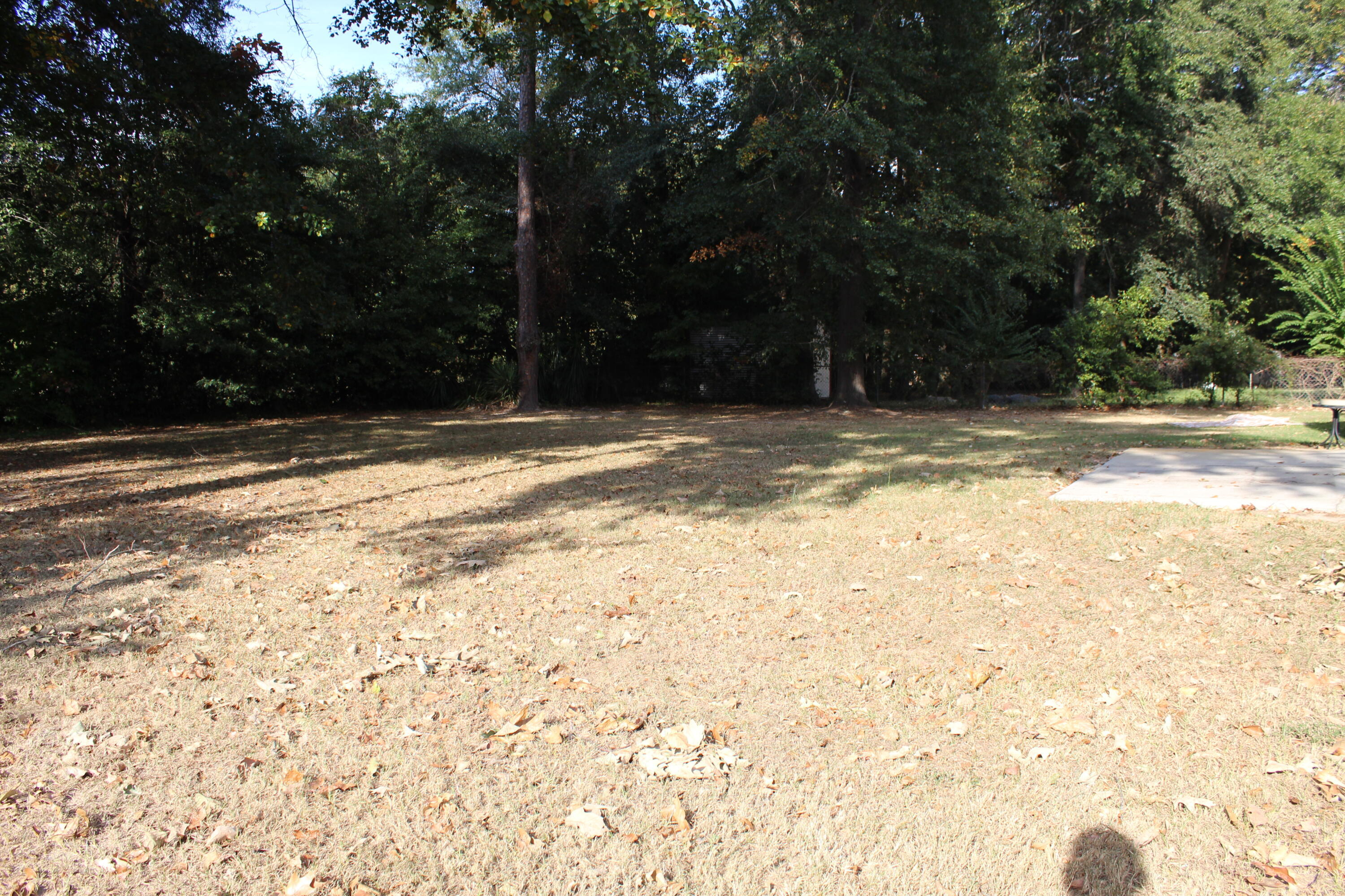 1015 Country Place Drive Property Photo 50