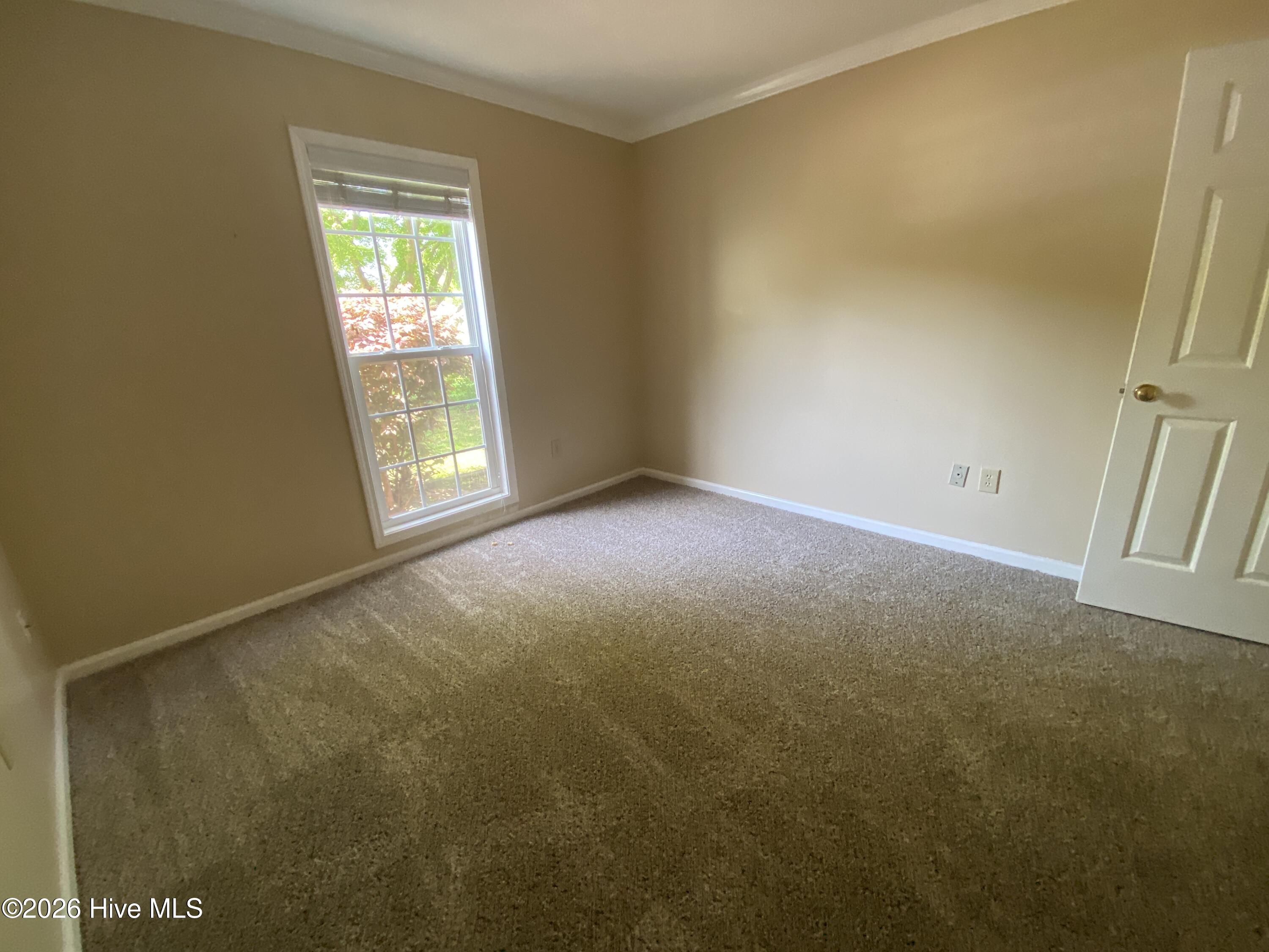 4310 Oneal Place Property Photo 42