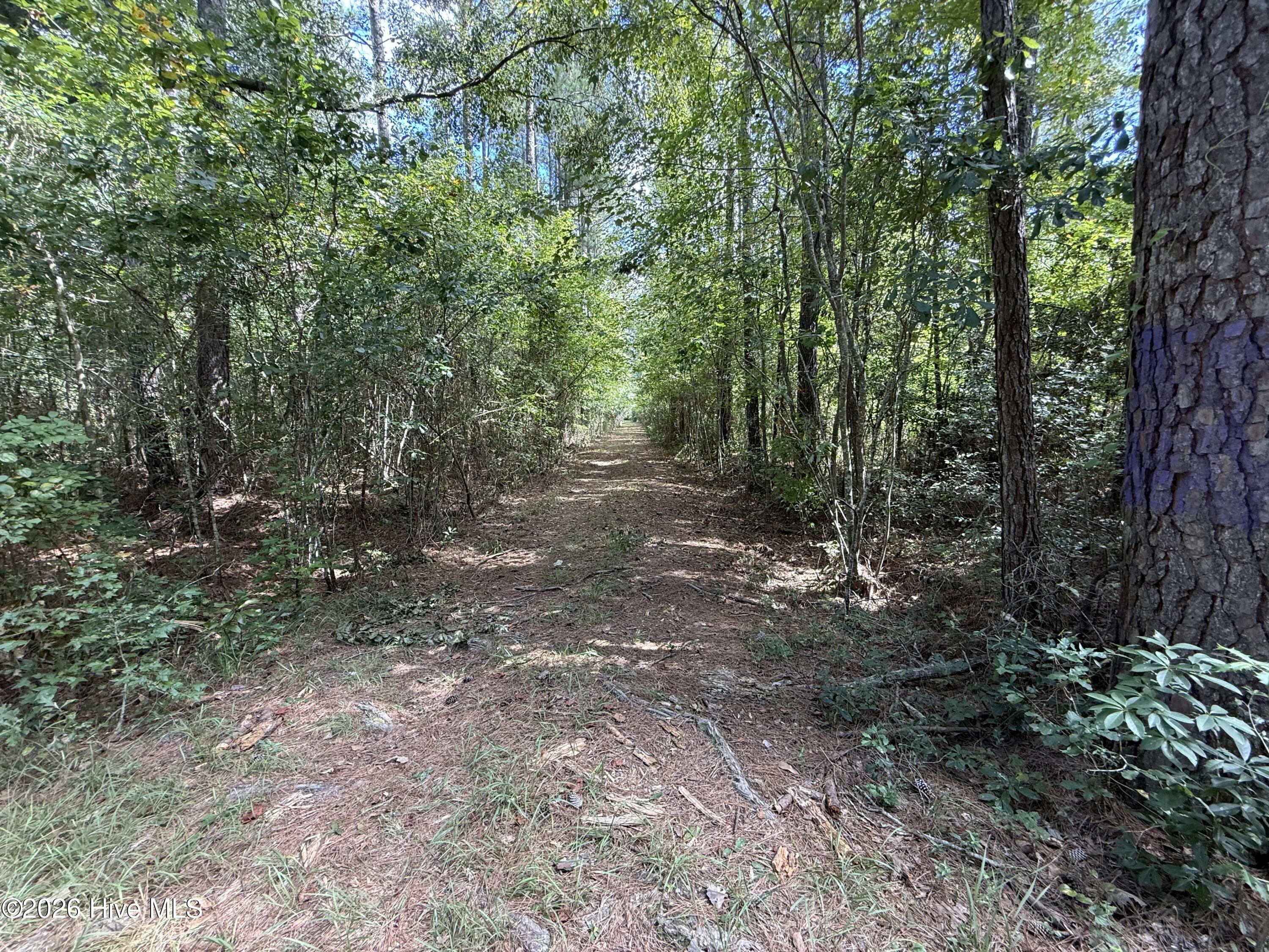 Tbd Point Caswell Road Property Photo 3