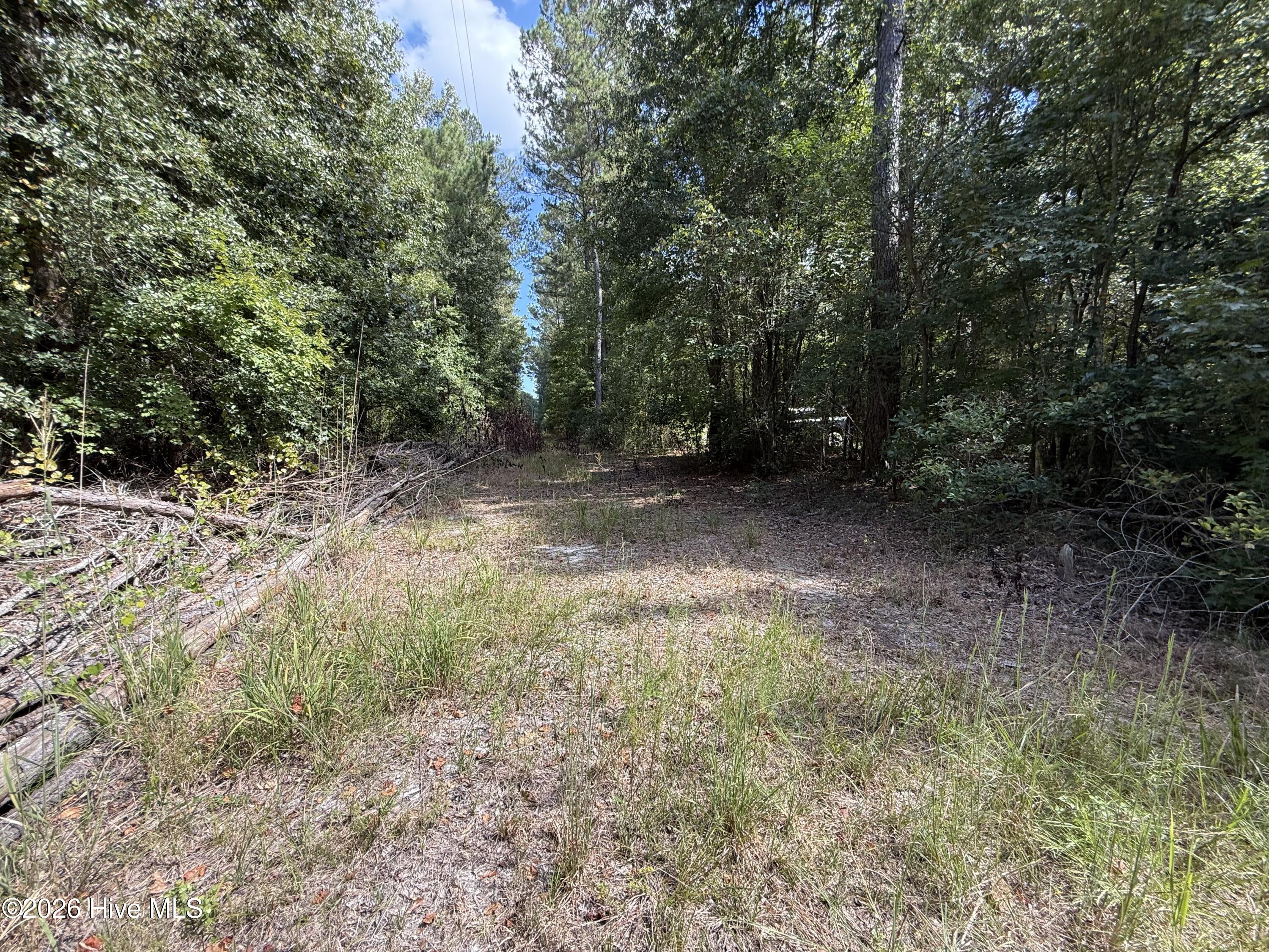 Tbd Point Caswell Road Property Photo 4