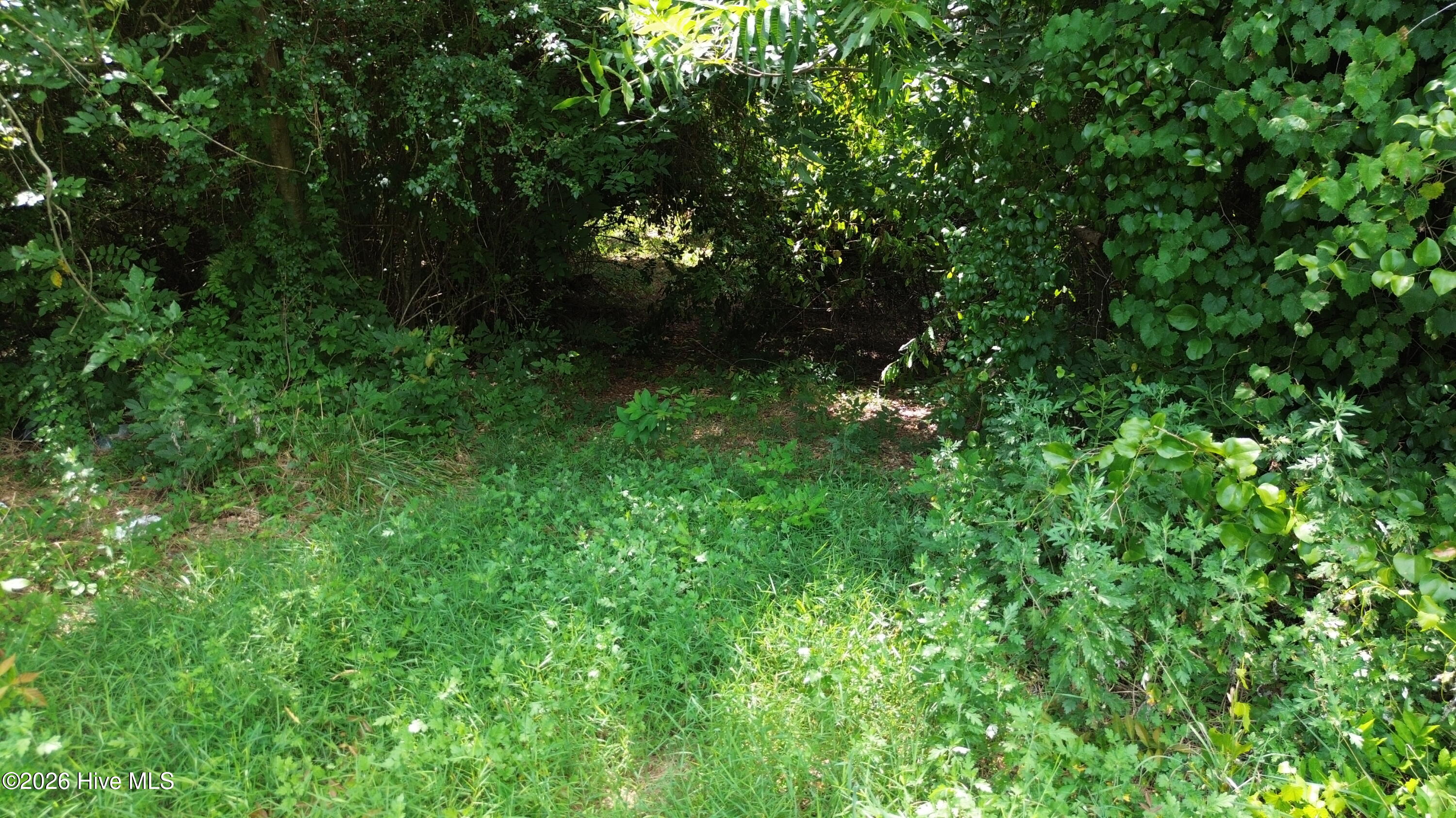 Tbd Point Caswell Road Property Photo 10