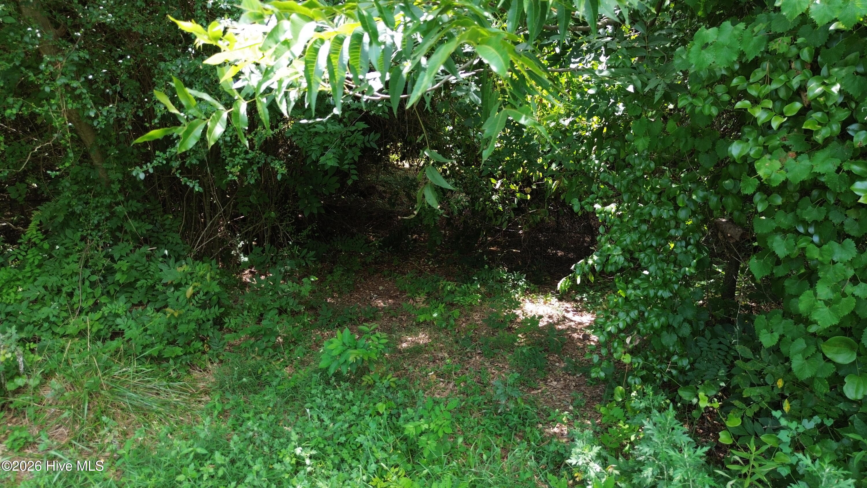Tbd Point Caswell Road Property Photo 11