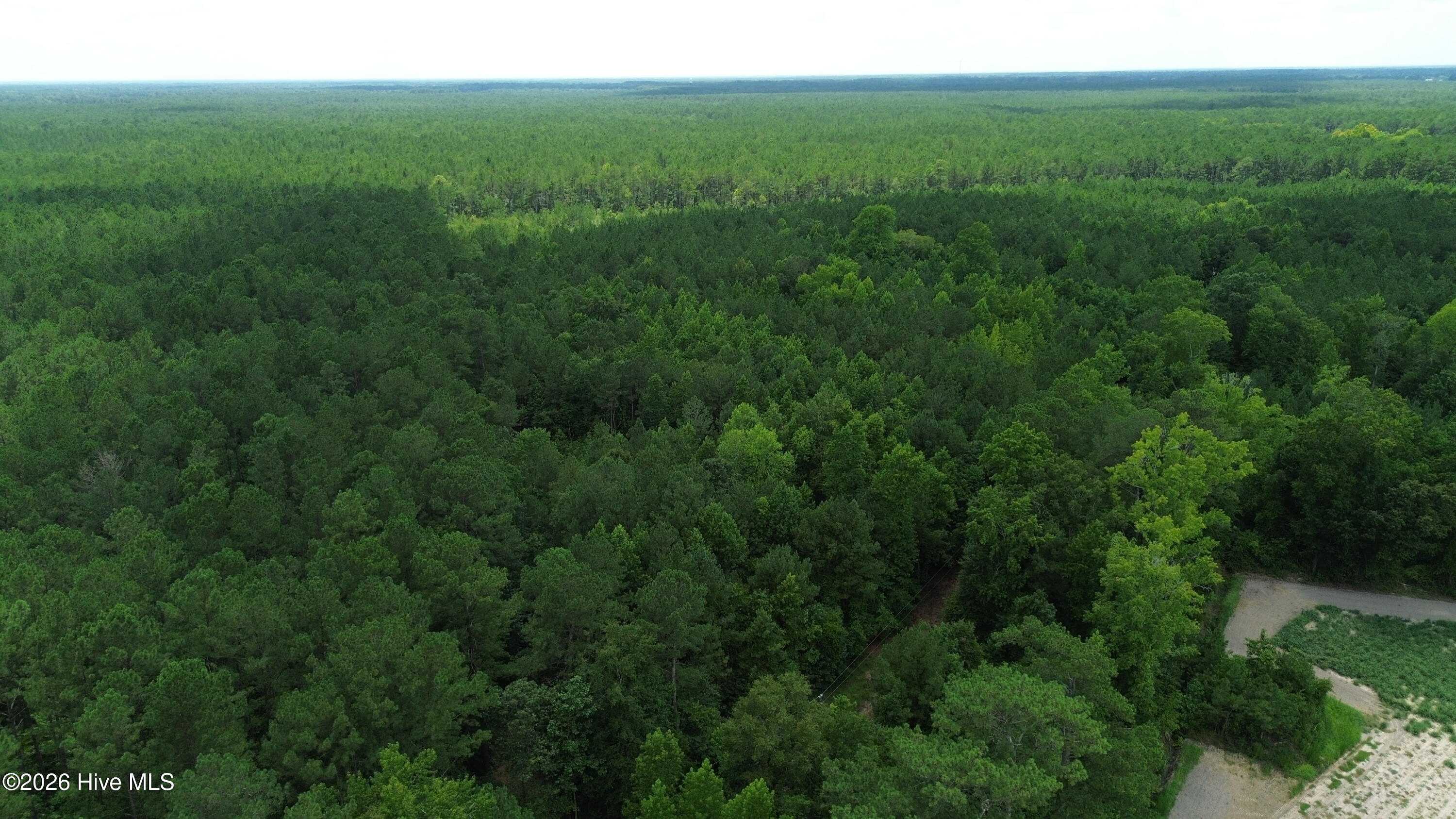 Tbd Point Caswell Road Property Photo 13