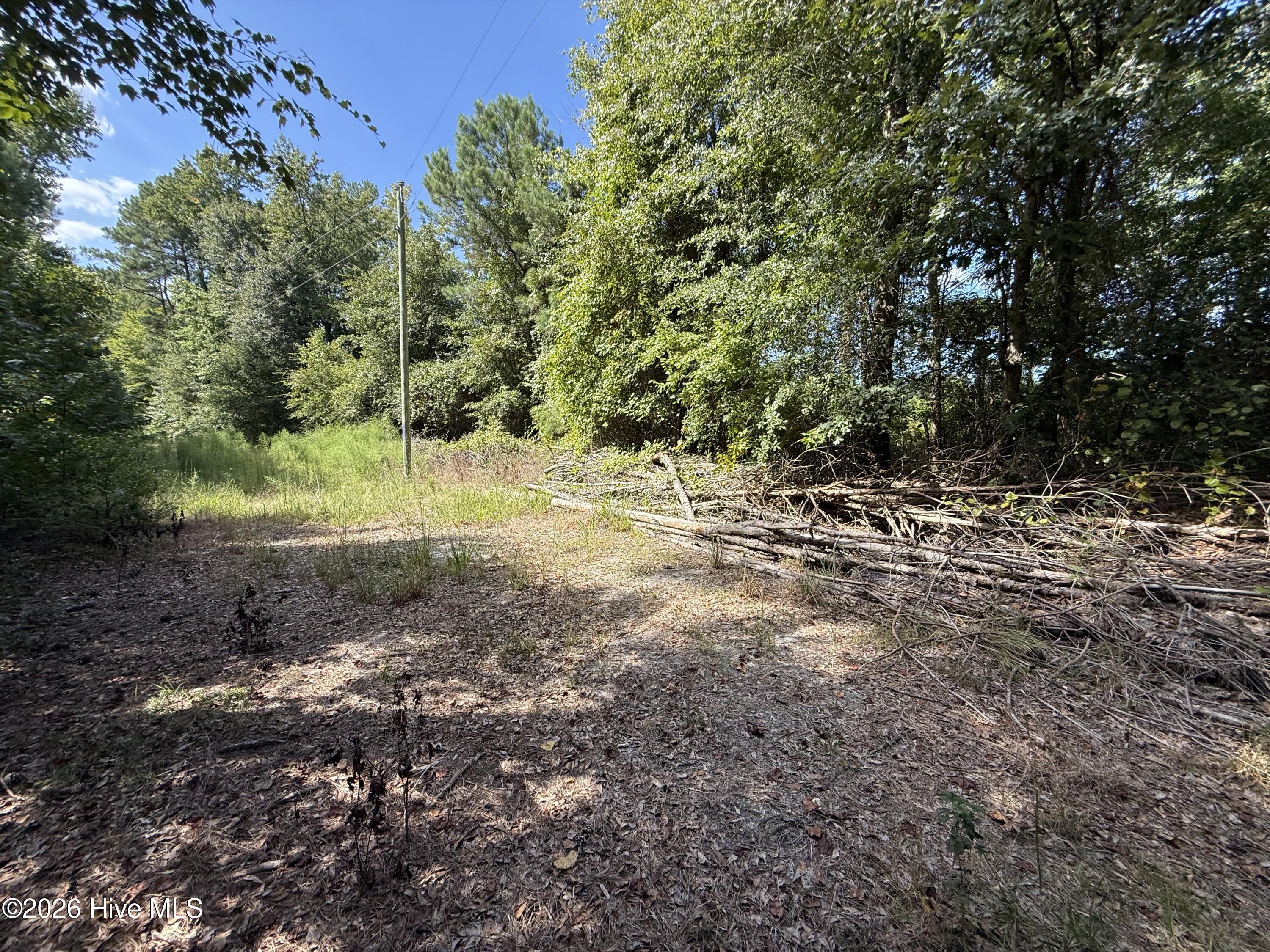 Tbd Point Caswell Road Property Photo 16