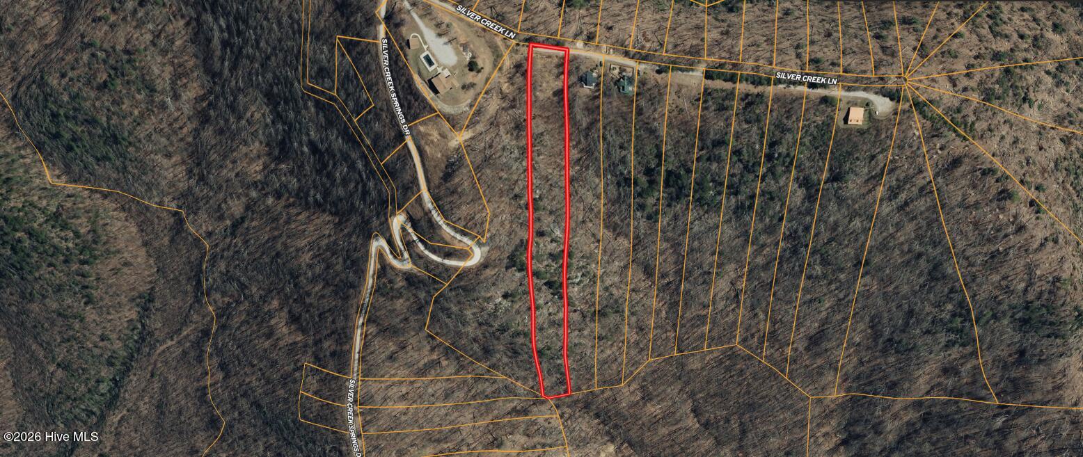6982 Silver Creek Springs Drive Property Photo 2