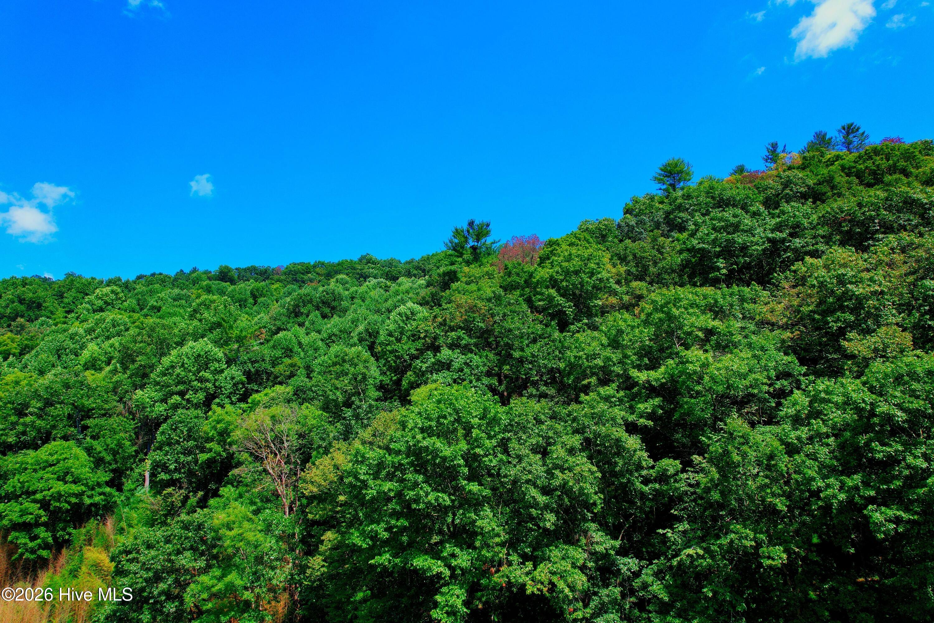 2872 Panther Creek Road Property Photo 11