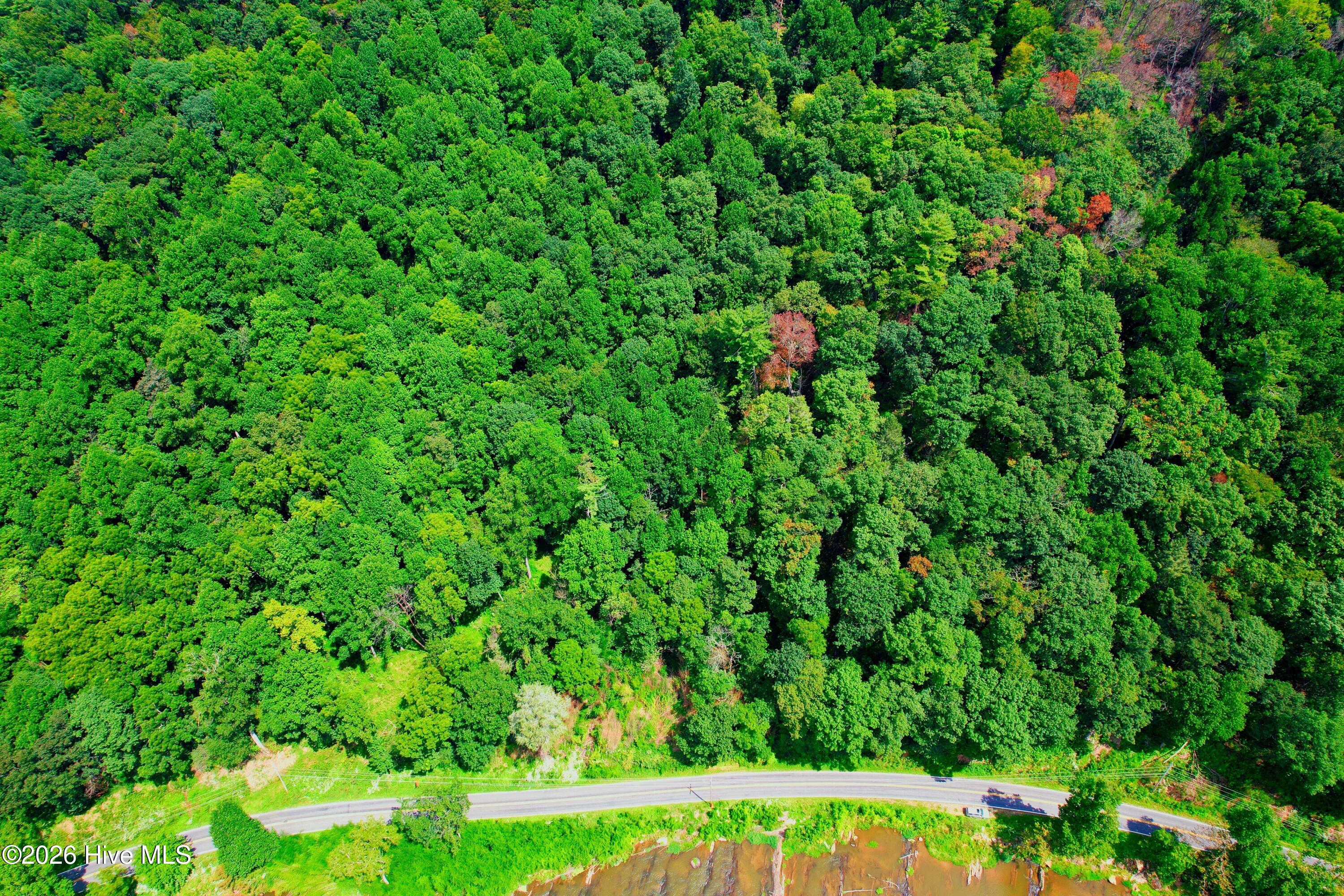 2872 Panther Creek Road Property Photo 14