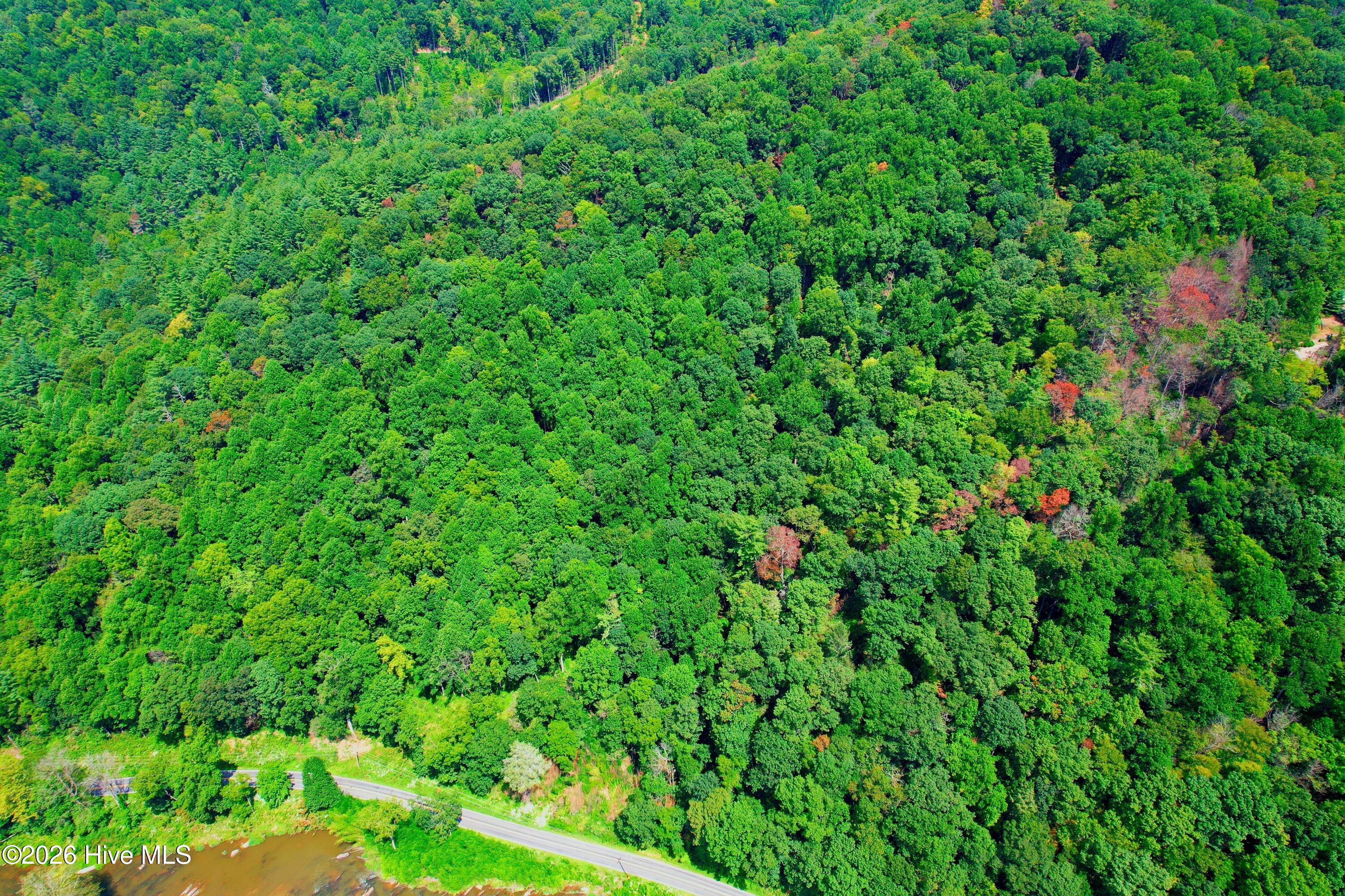 2872 Panther Creek Road Property Photo 15