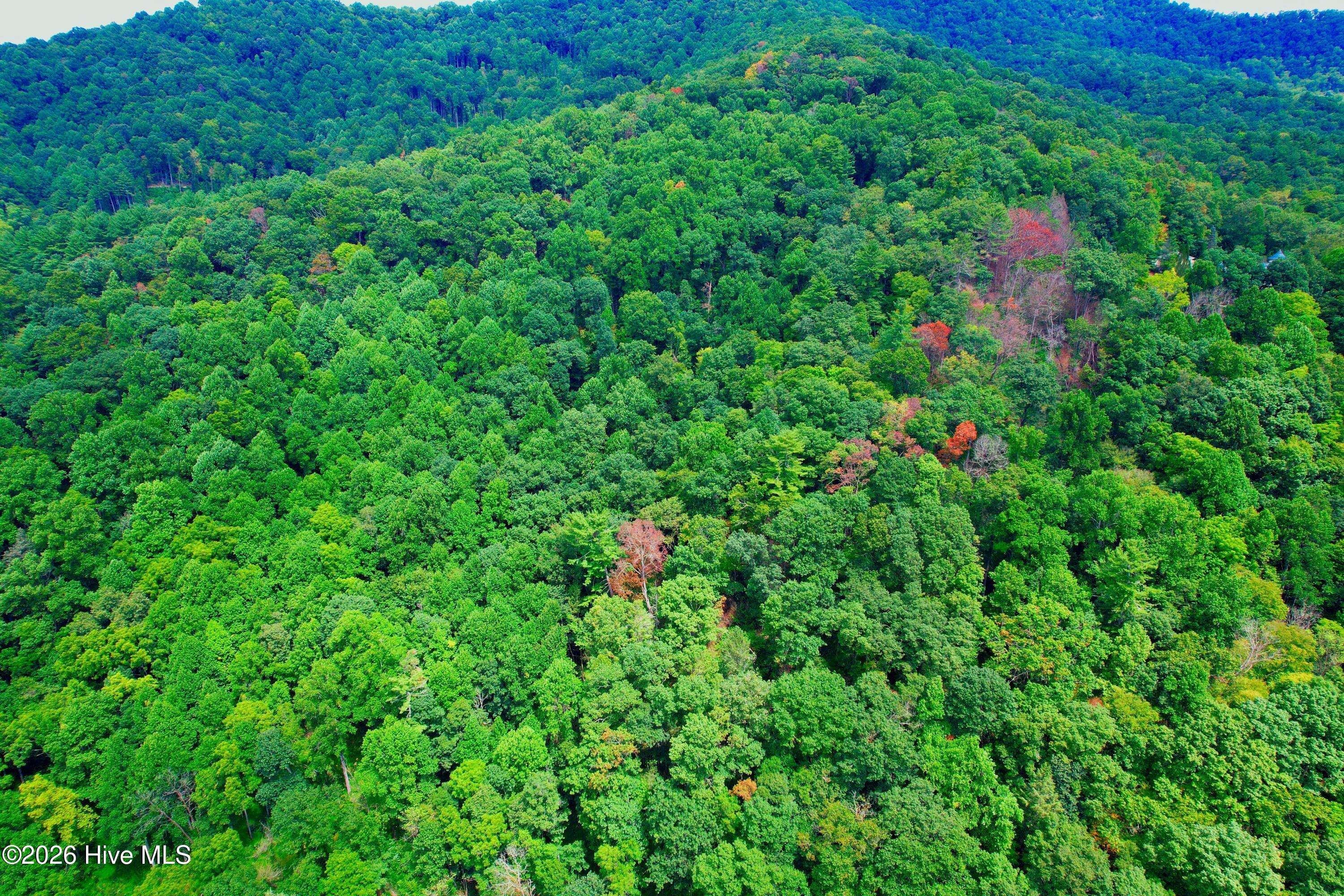2872 Panther Creek Road Property Photo 49