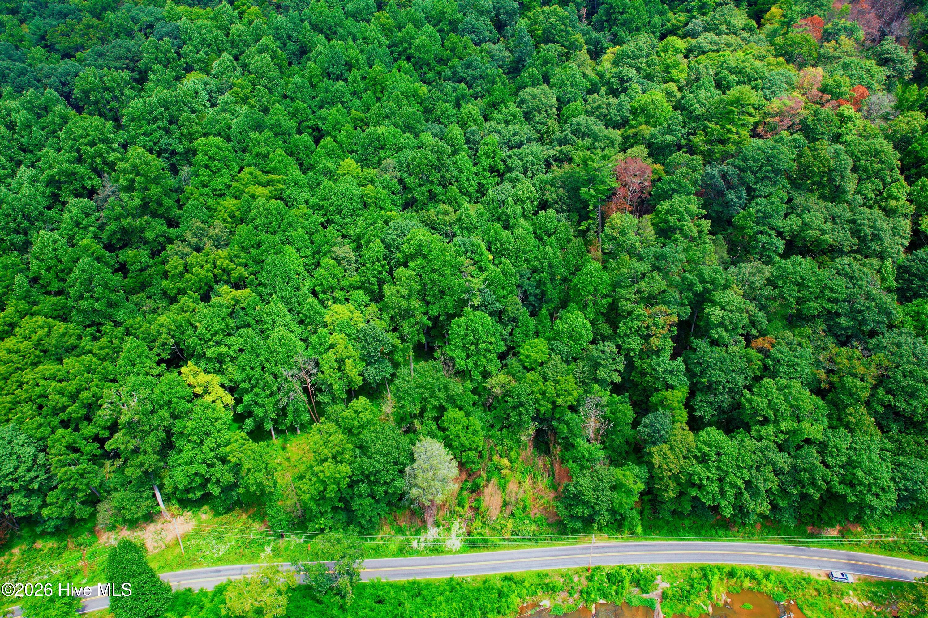 2872 Panther Creek Road Property Photo 50