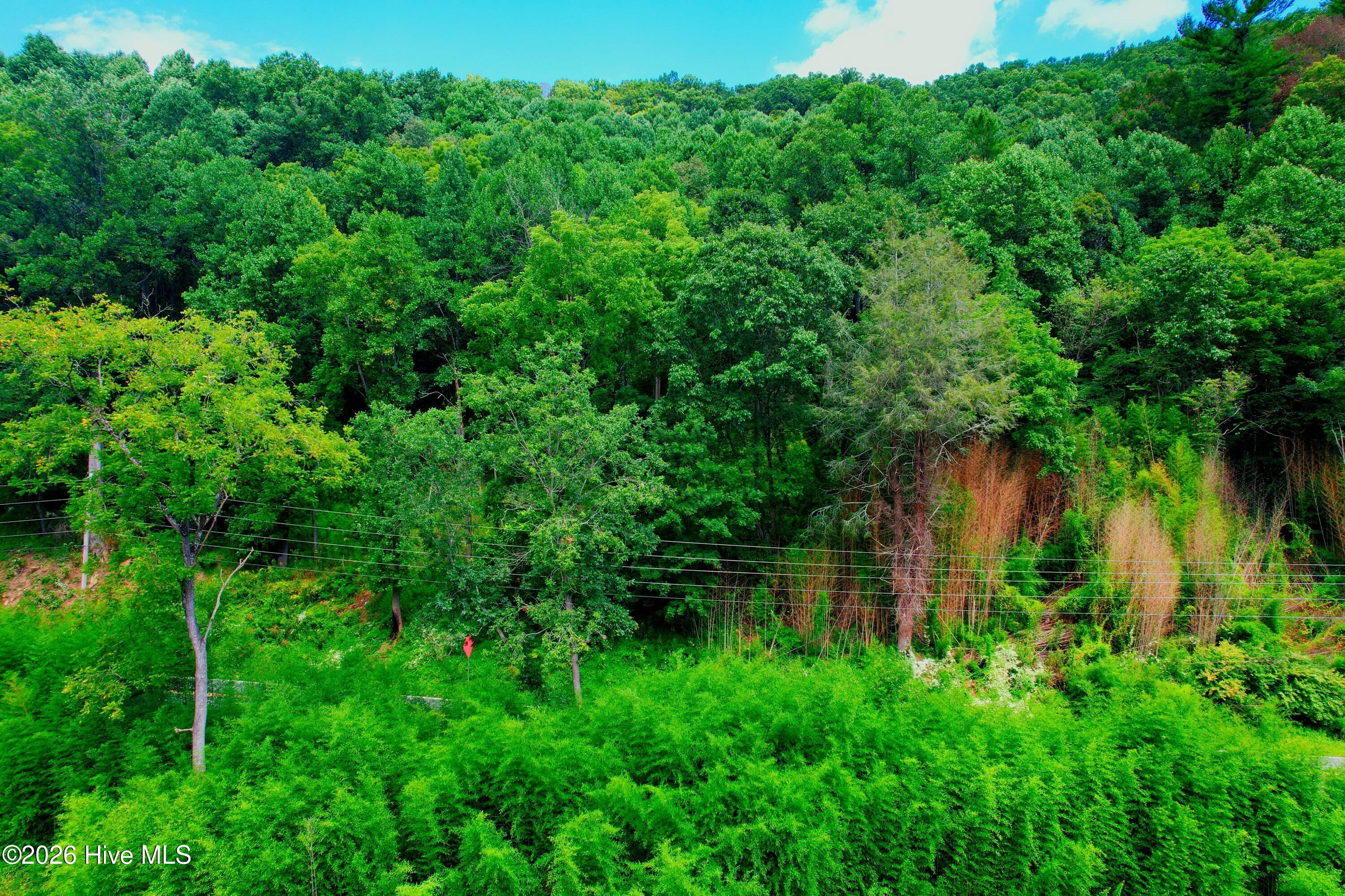2872 Panther Creek Road Property Photo 56
