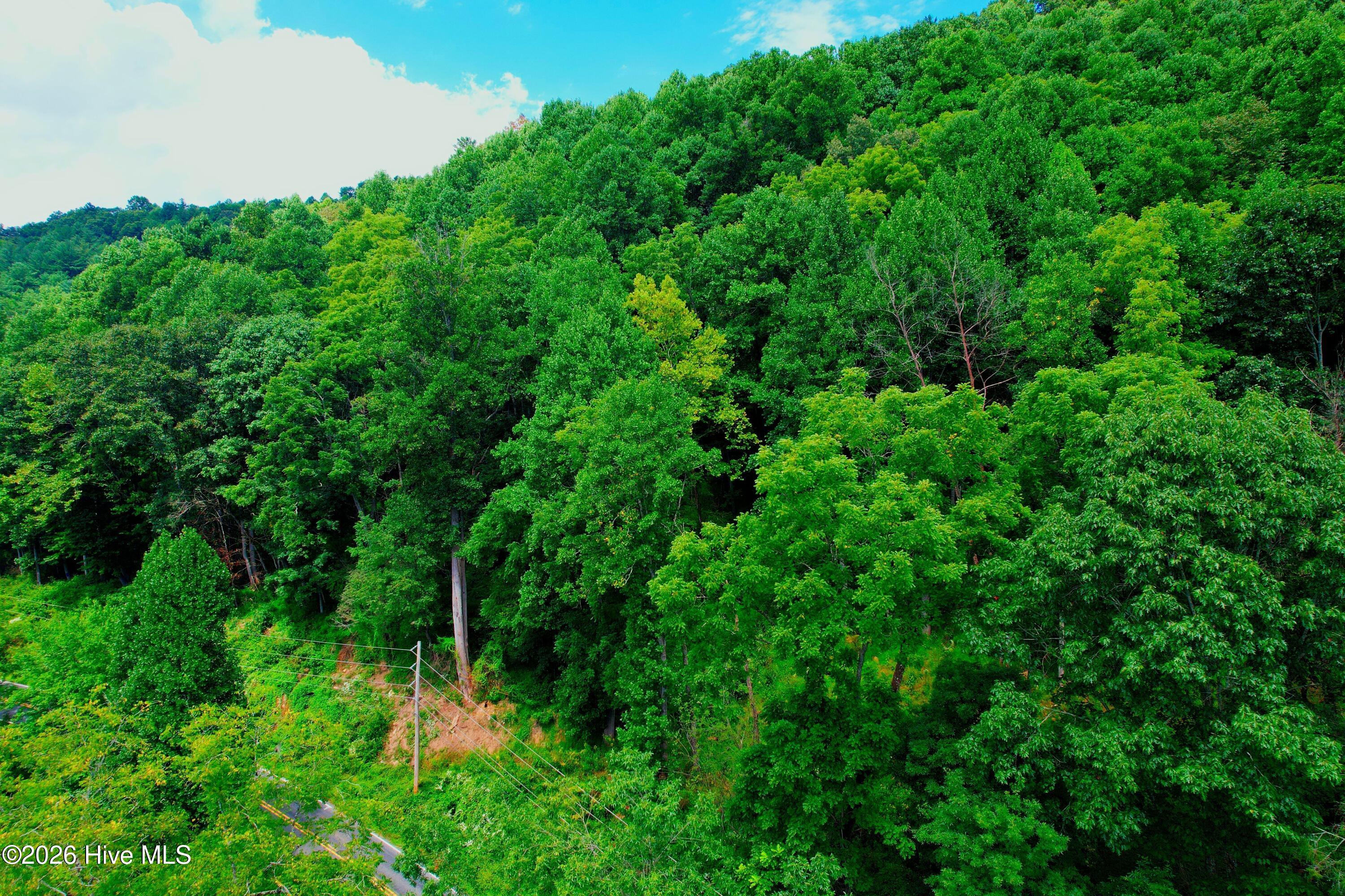 2872 Panther Creek Road Property Photo 70