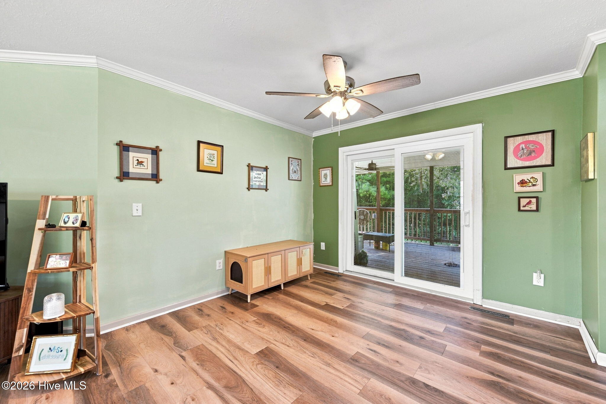 111 Bradham Drive Property Photo 6