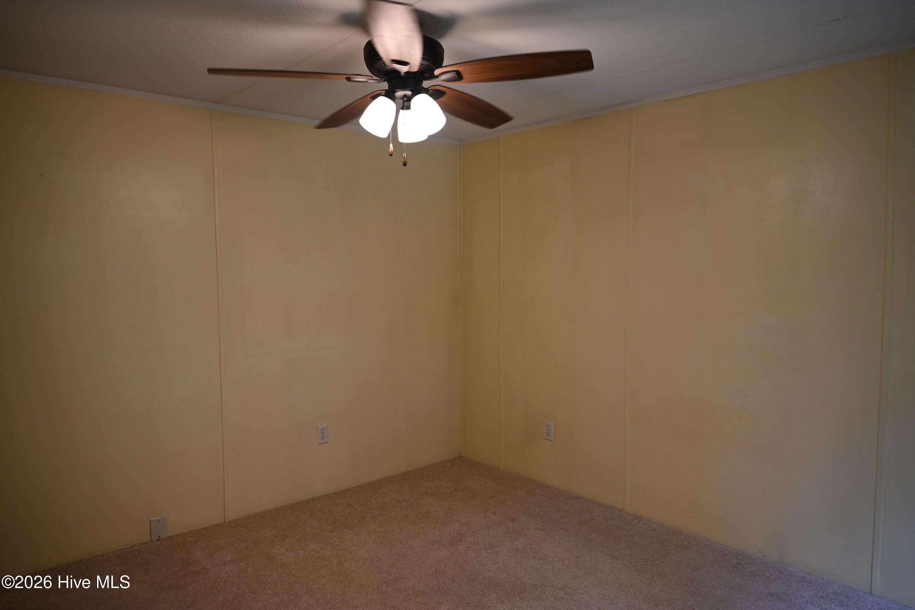164 Short Road Property Photo 5