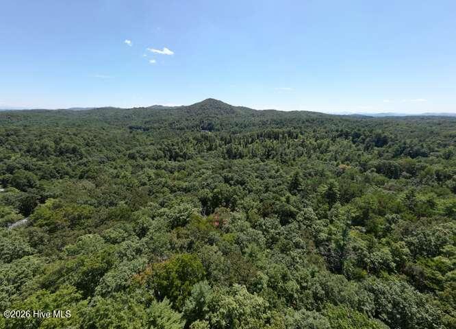 158 Red Oak Forest Lane Property Photo 49