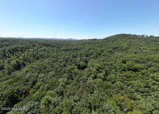 158 Red Oak Forest Lane Property Photo 53