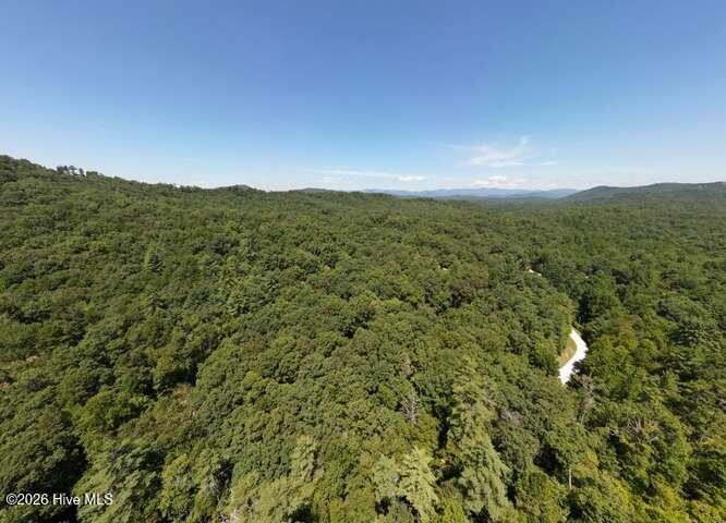 158 Red Oak Forest Lane Property Photo 54
