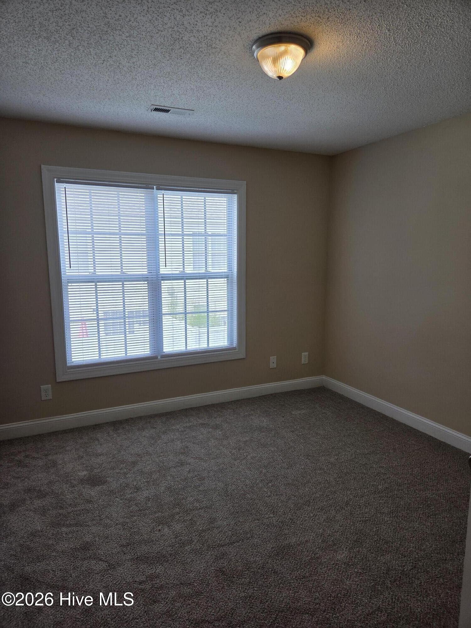 4271 Dudleys Grant Drive A Property Photo 14