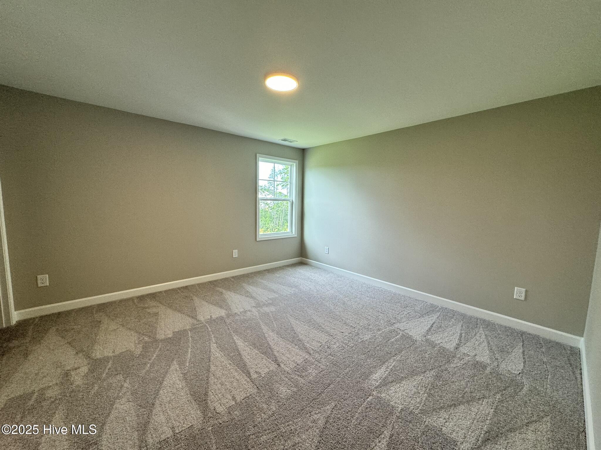 2729 Longleaf Pine Circle Property Photo 19