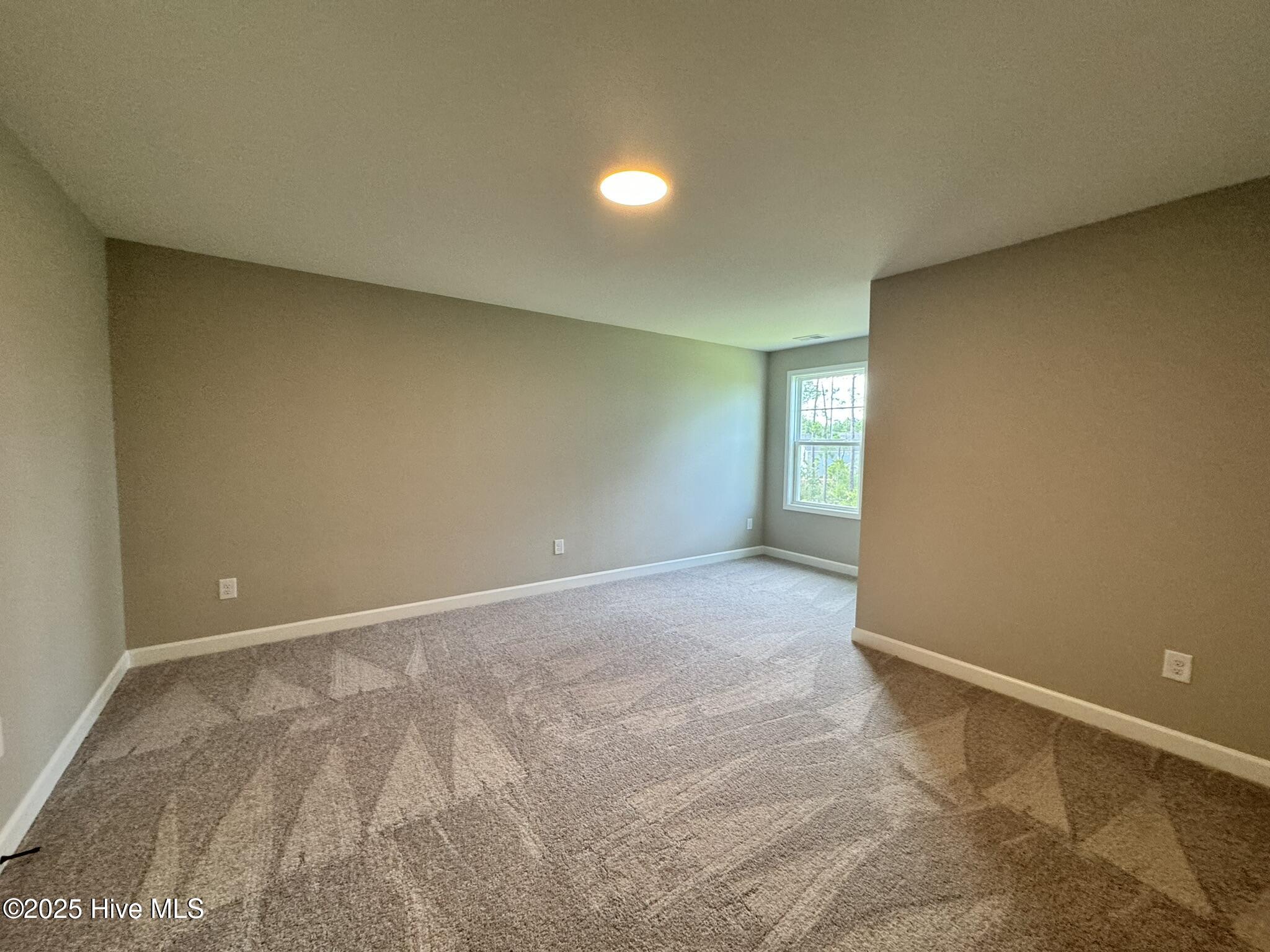 2729 Longleaf Pine Circle Property Photo 21