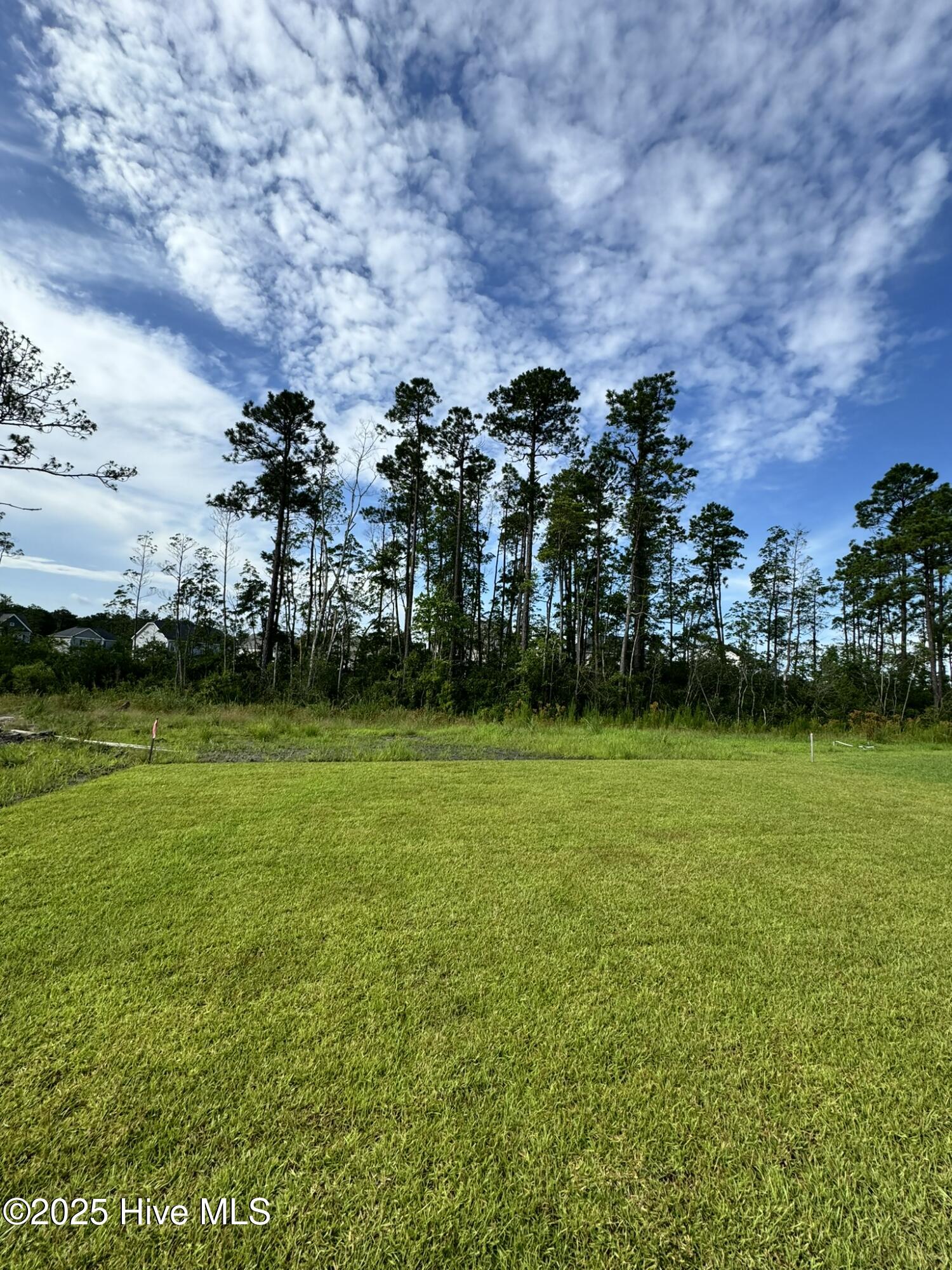 2729 Longleaf Pine Circle Property Photo 29