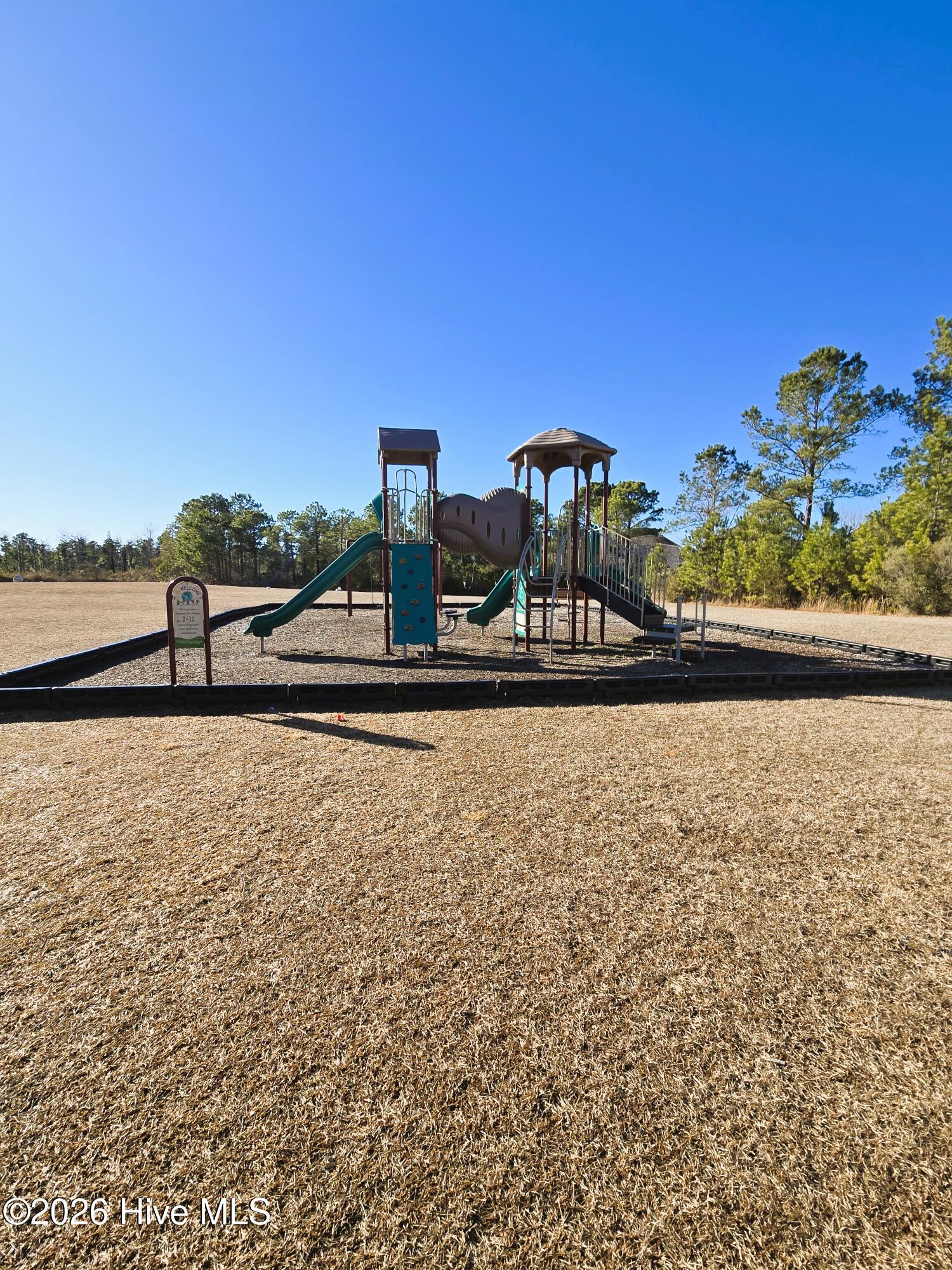 2729 Longleaf Pine Circle Property Photo 37