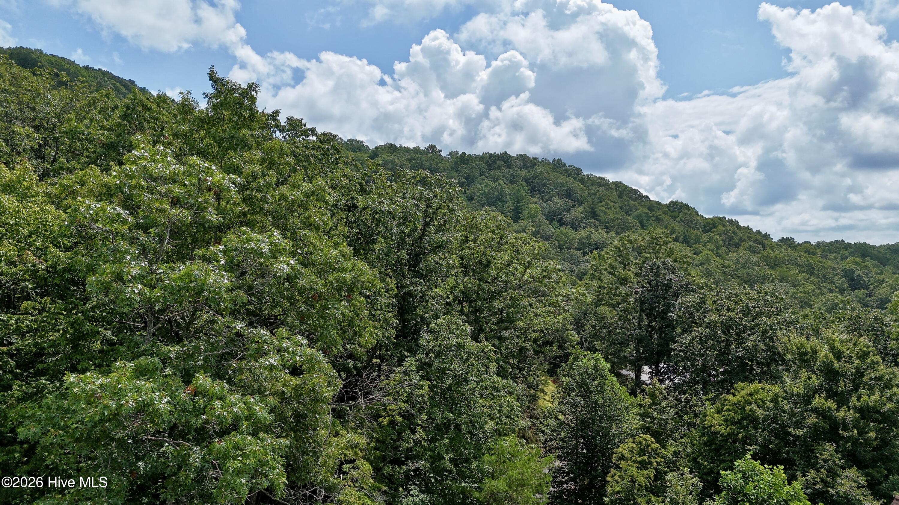00 Noble Mountain Landing Property Photo 16