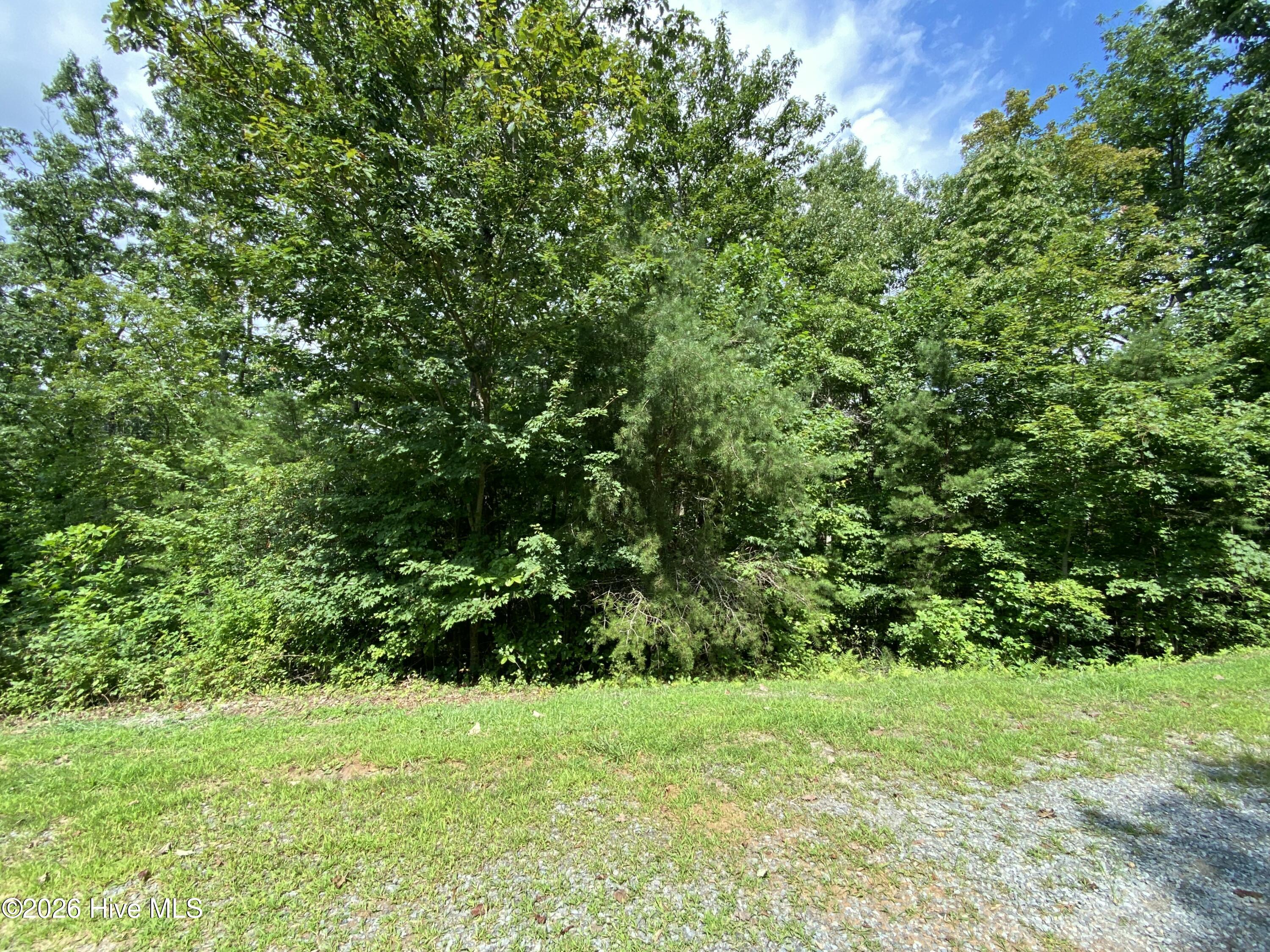 00 Noble Mountain Landing Property Photo 18