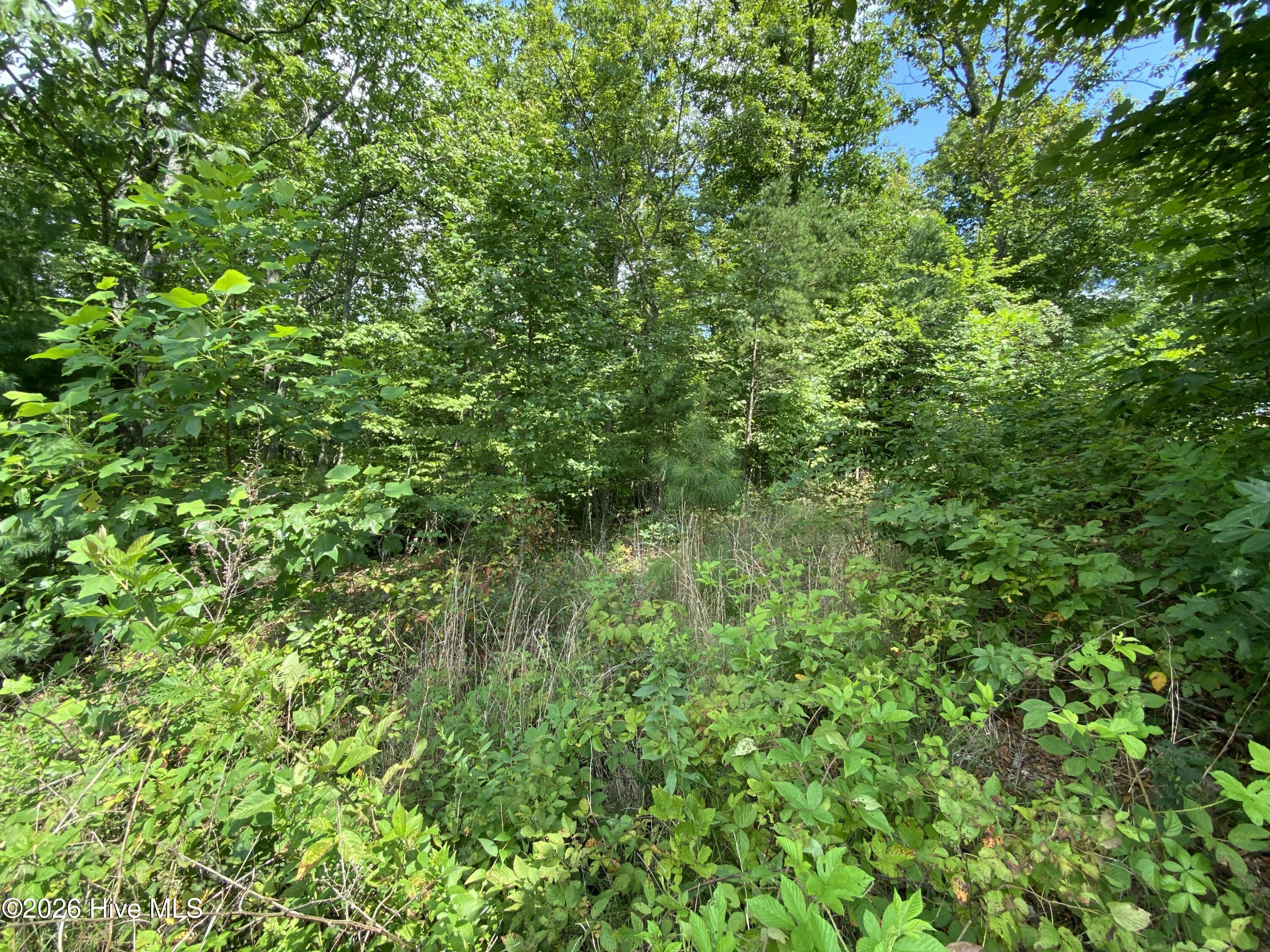 00 Noble Mountain Landing Property Photo 25