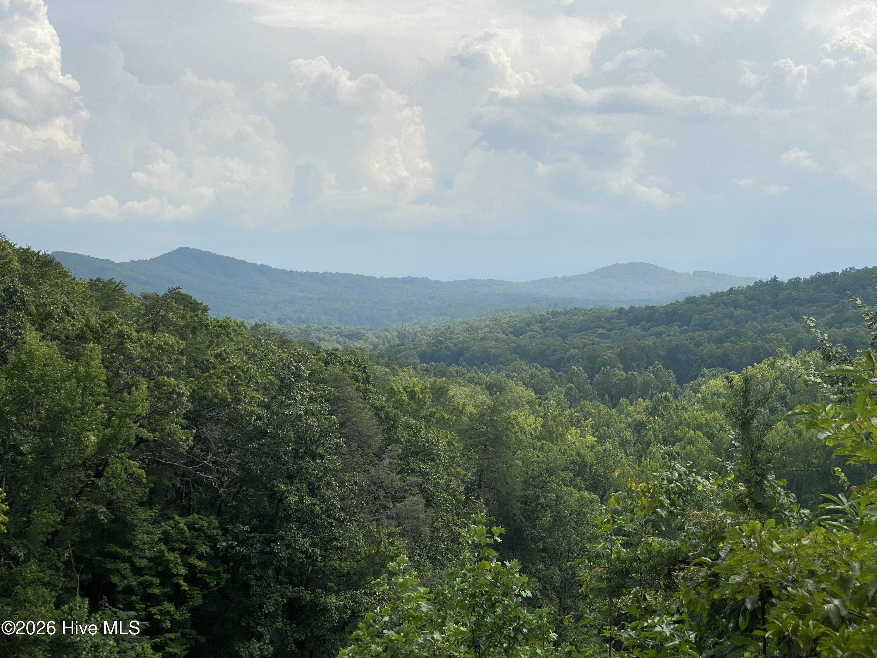 00 Noble Mountain Landing Property Photo 29