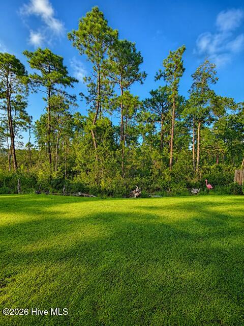 2106 Willowleaf Drive Lot 28 Property Photo 15
