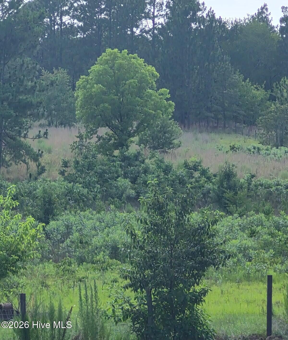 Tbd Dusty Trail Property Photo 3