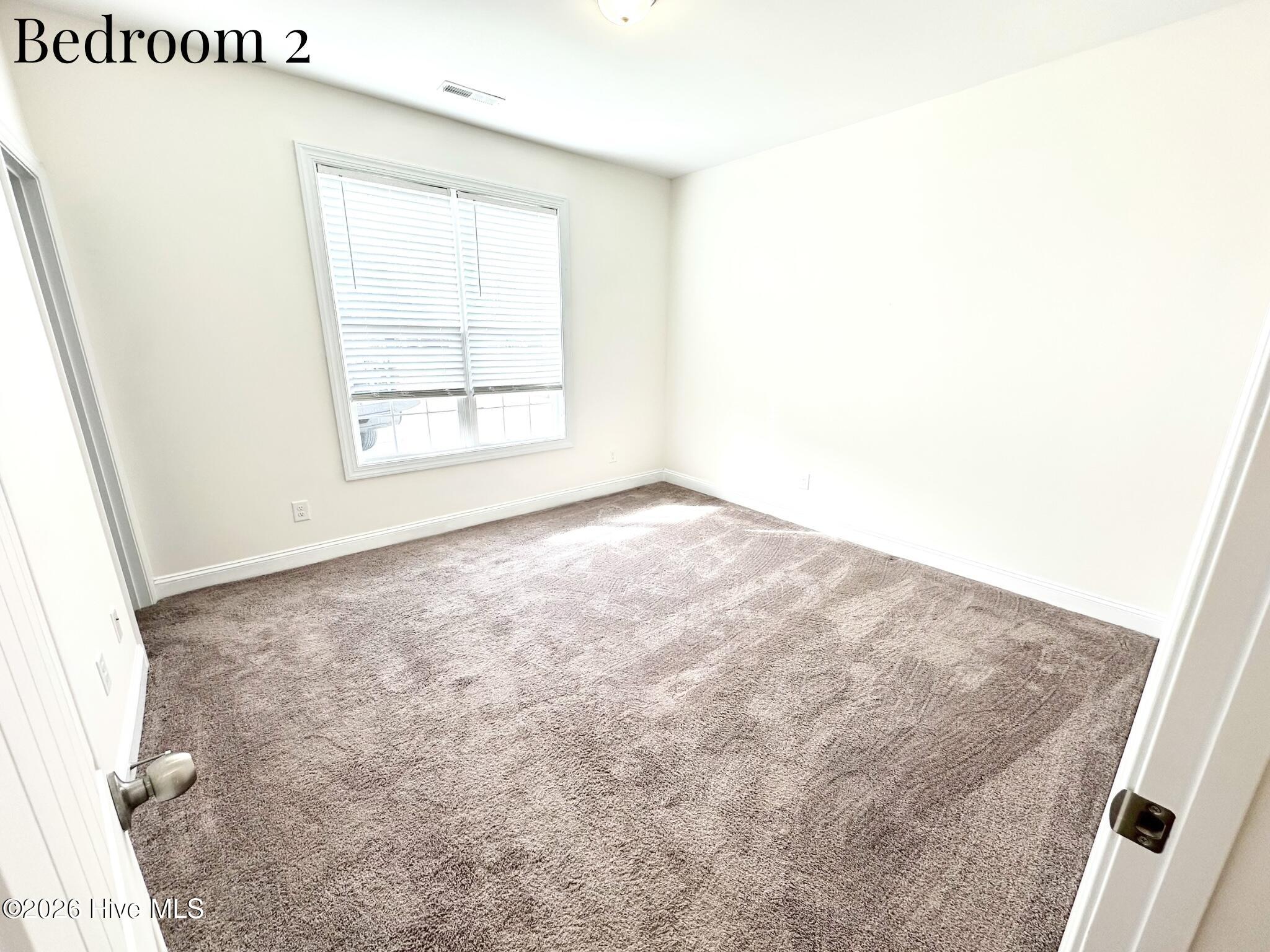 3009 Sharpnose Street Property Photo 22