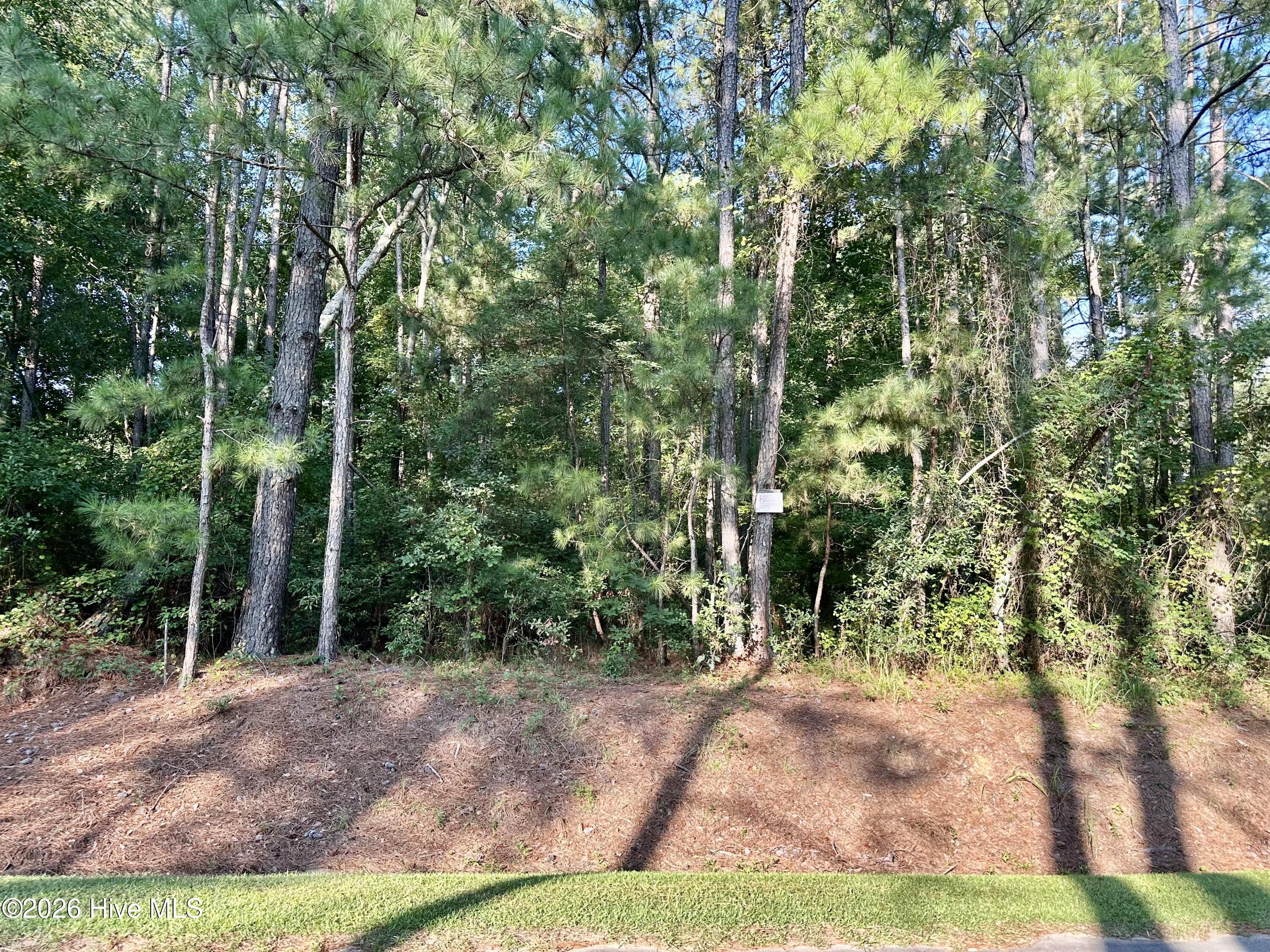 Tbd Stokes Road Property Photo 1