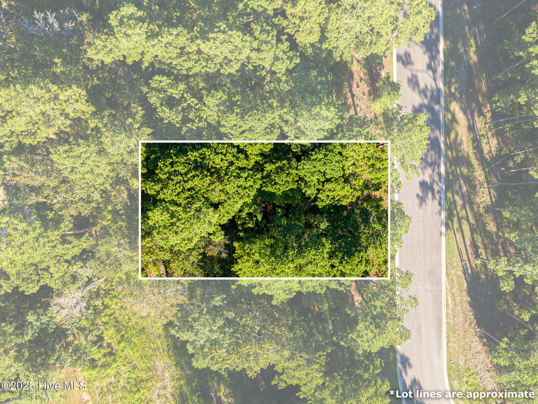 6092 Isla Mona Drive Sw Property Photo 4