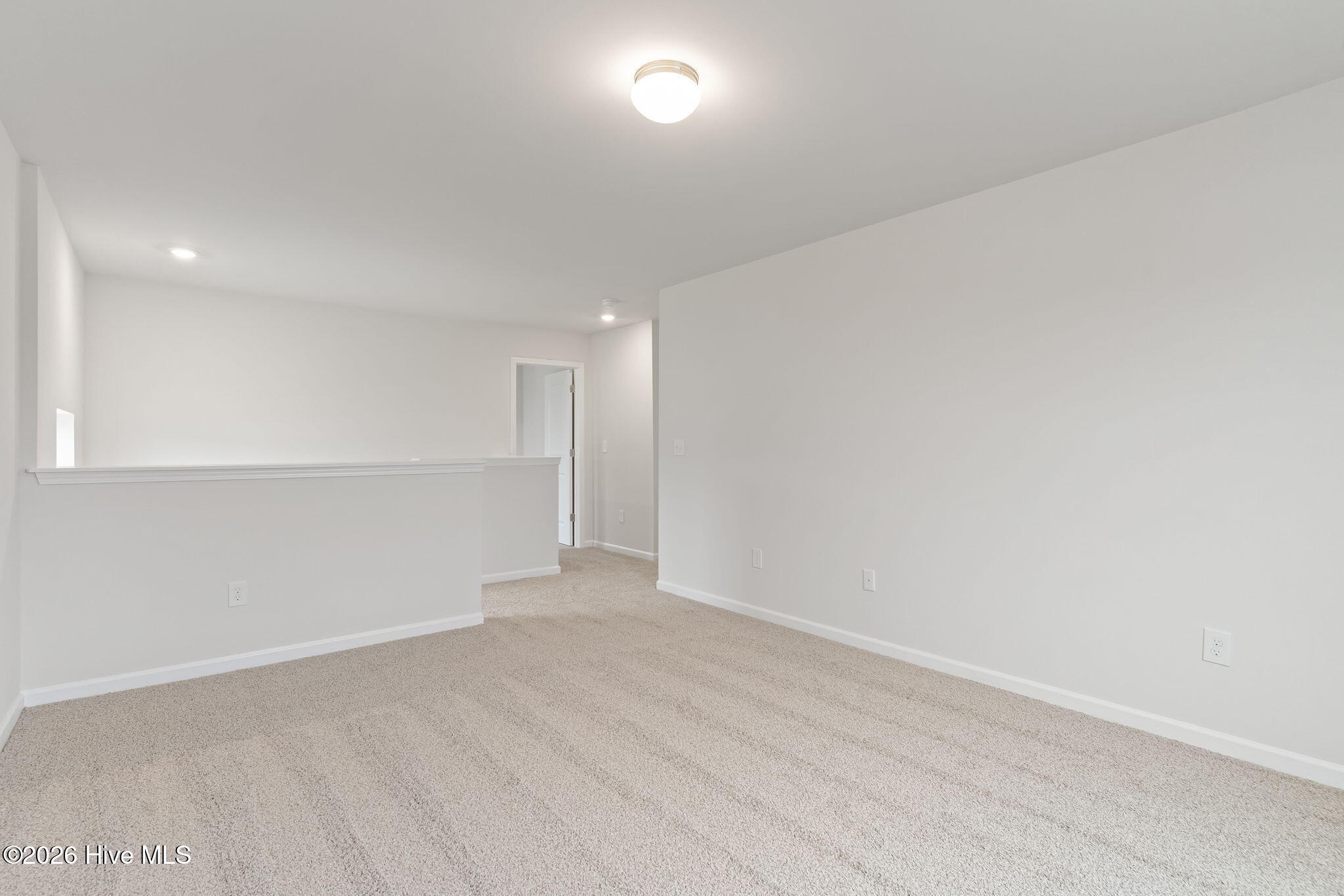 100 Rubyfield Court Property Photo 17
