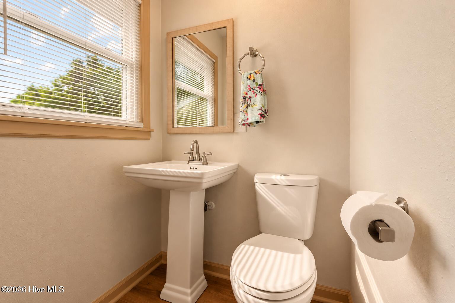 209 Diane Drive Property Photo 17