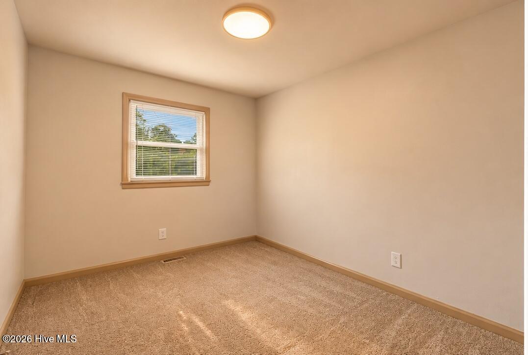 209 Diane Drive Property Photo 19
