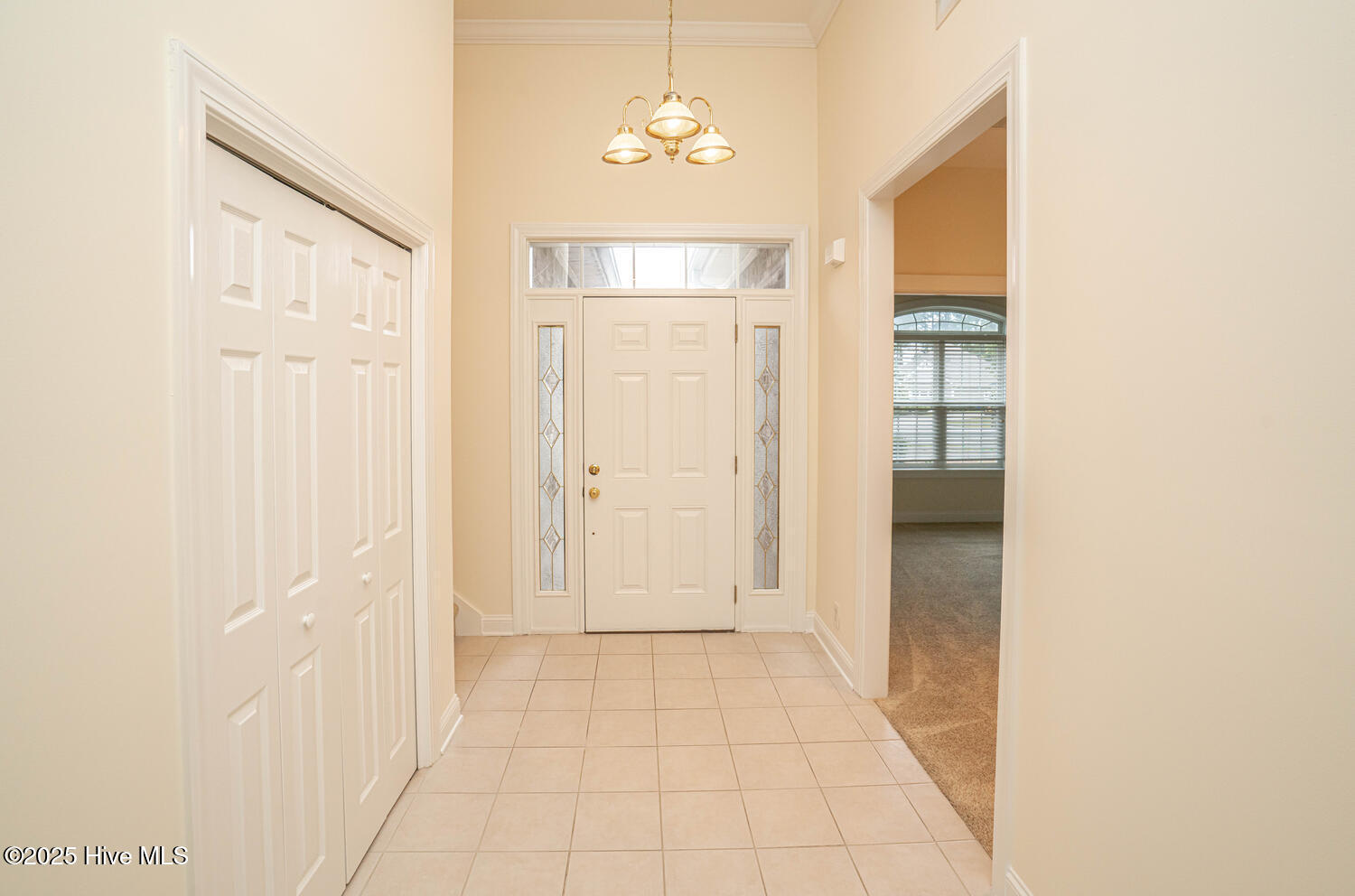 234 Baroney Place Drive Property Photo 6