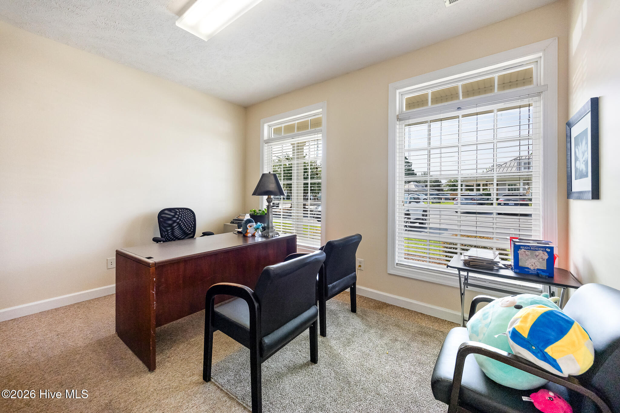 250 Magnolia Square Court Property Photo 11