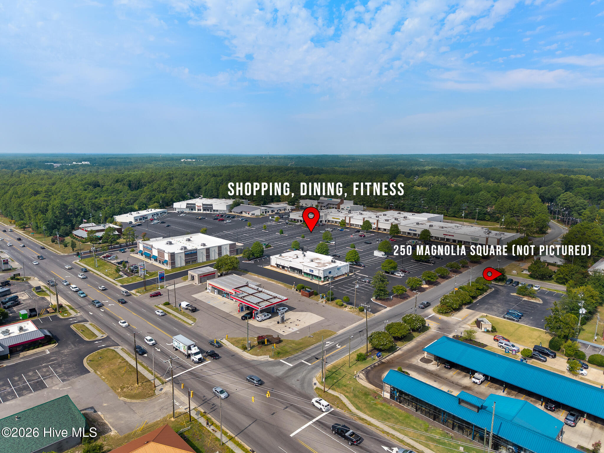 250 Magnolia Square Court Property Photo 20