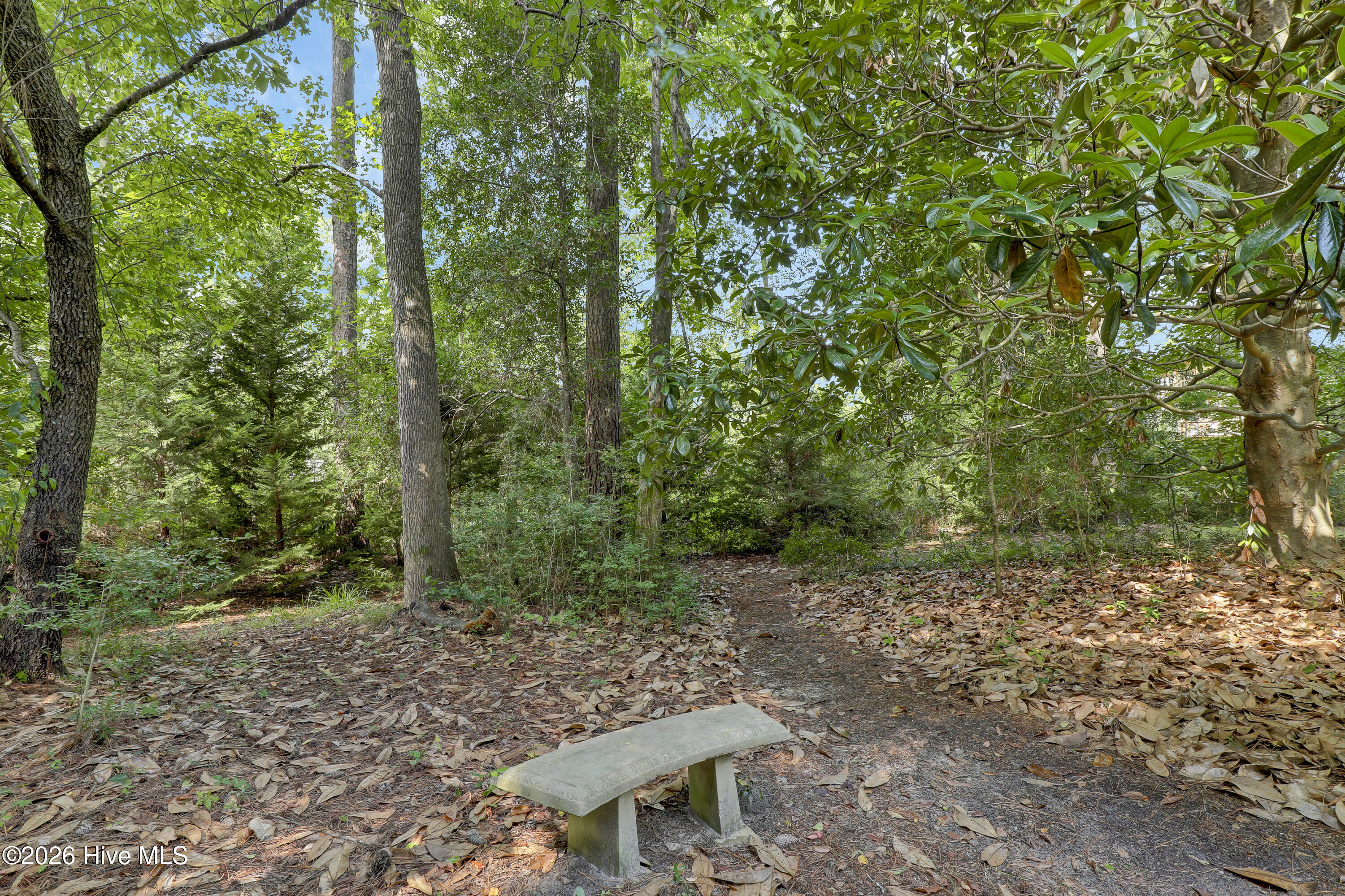 901 Saltwood Lane Property Photo 47