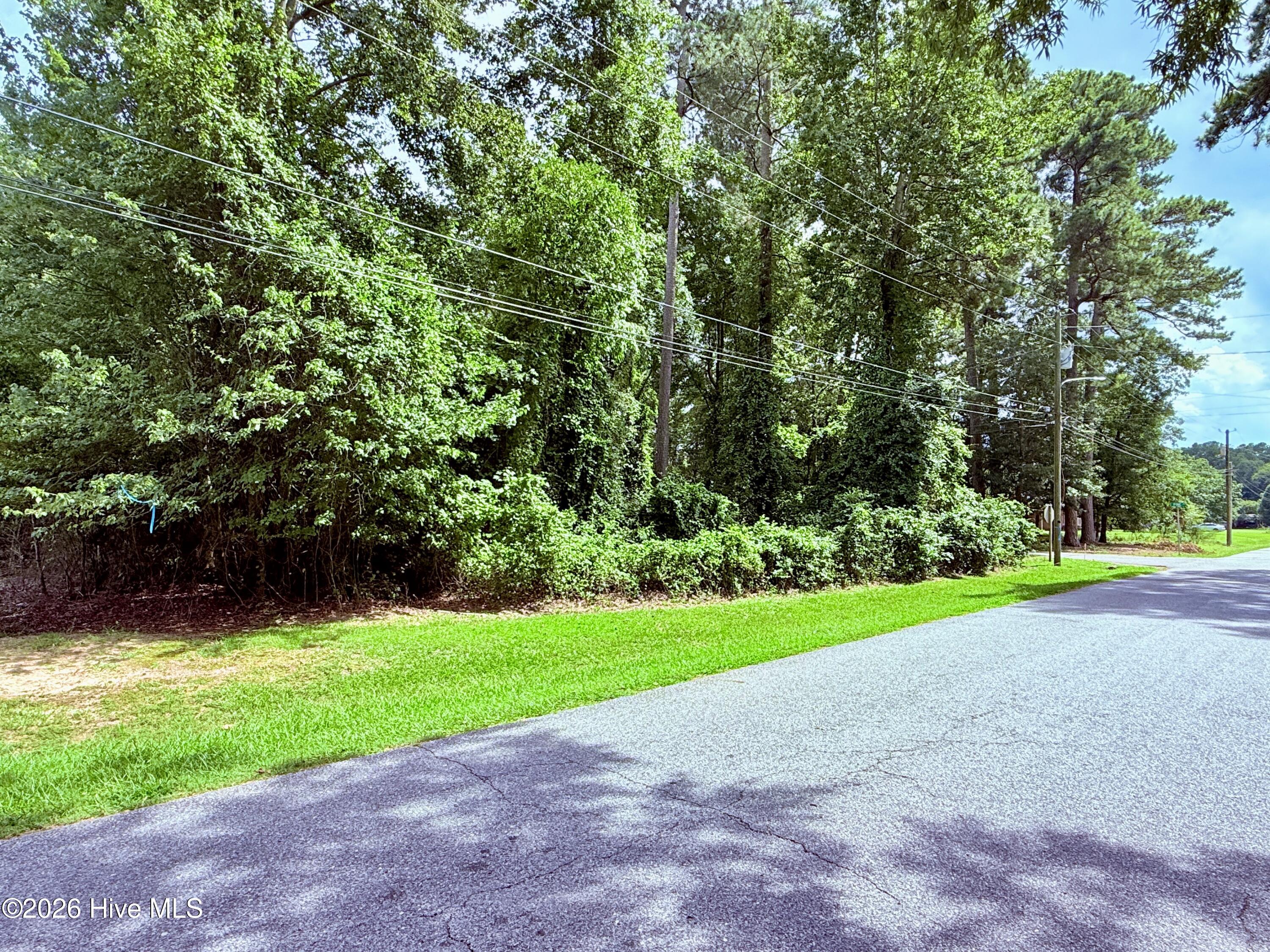 201 Forest Drive Property Photo 19