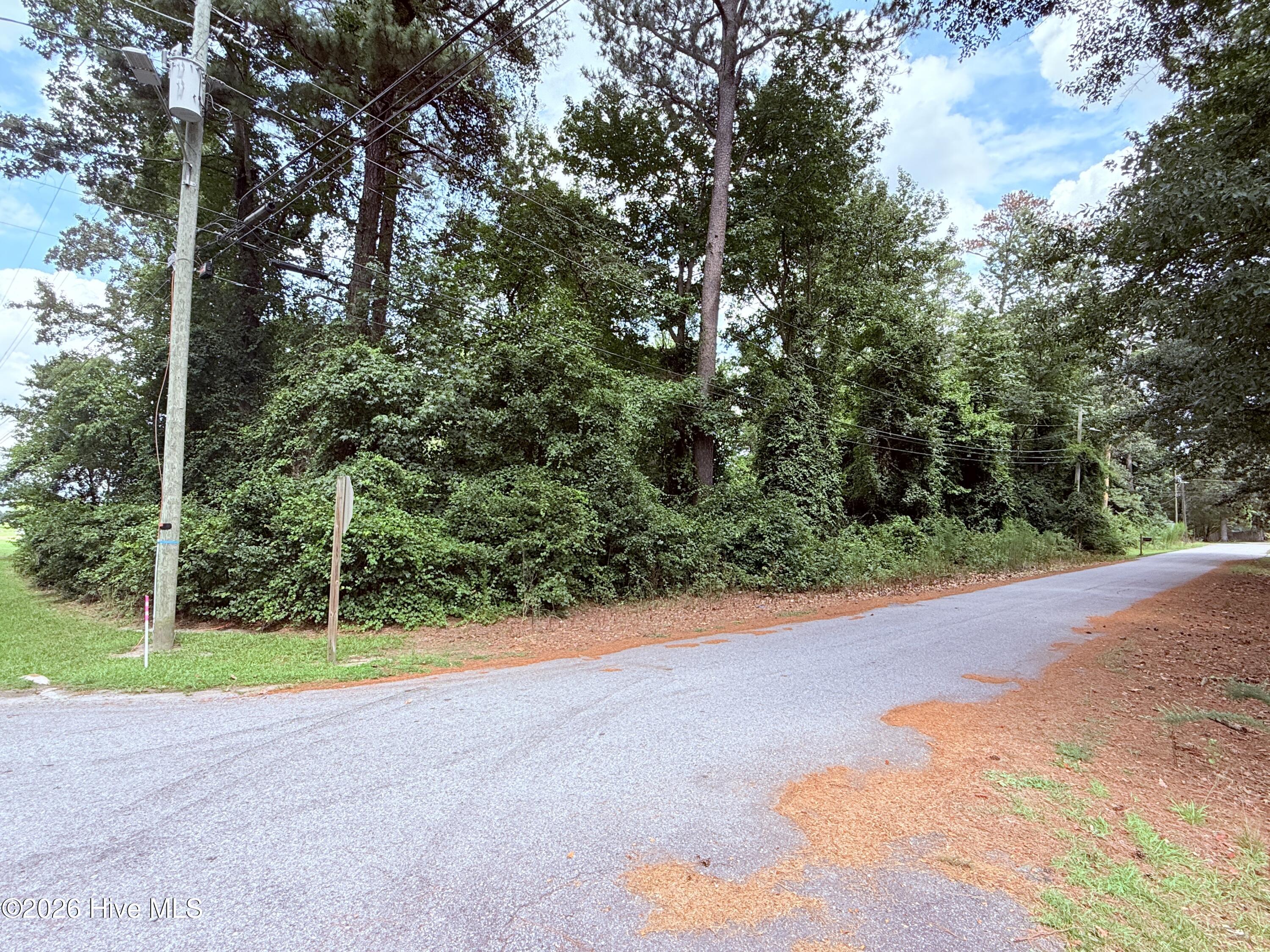 201 Forest Drive Property Photo 22
