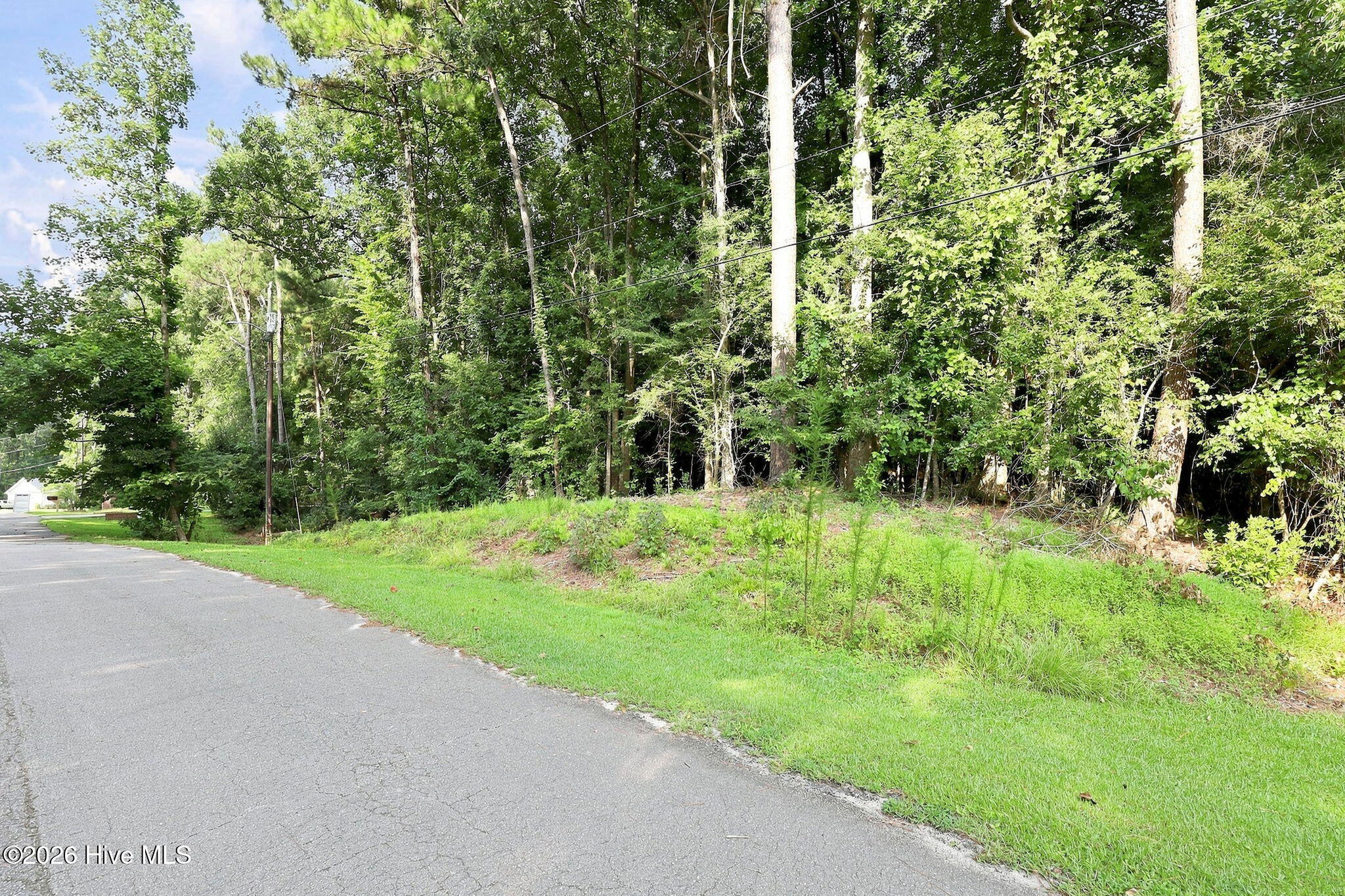 410 Candlewood Drive Property Photo 2