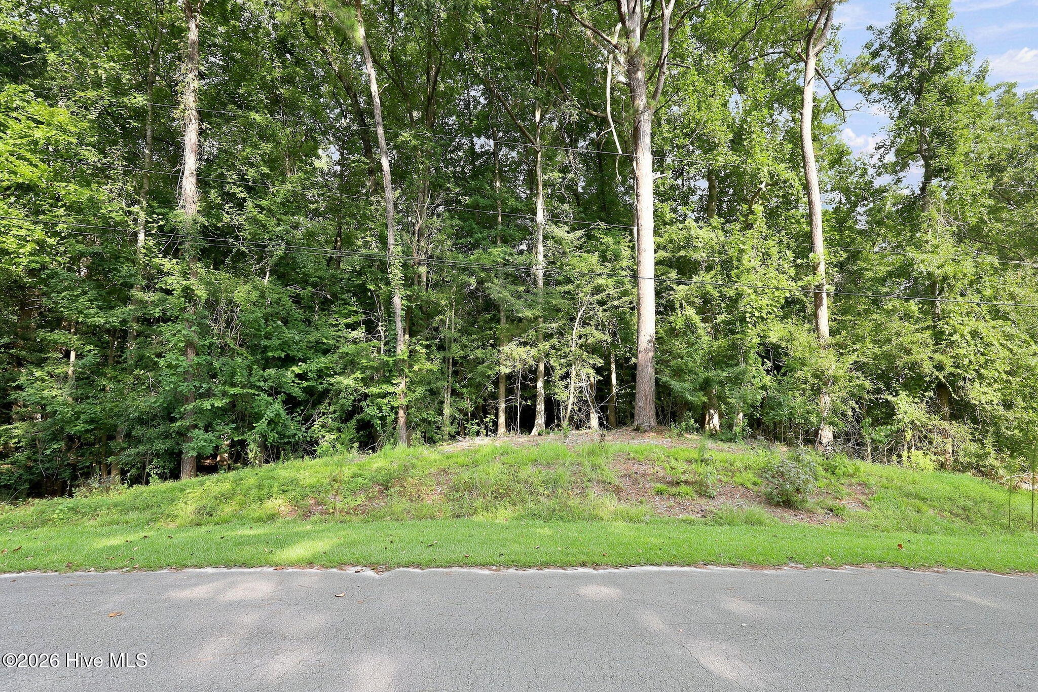 410 Candlewood Drive Property Photo 3